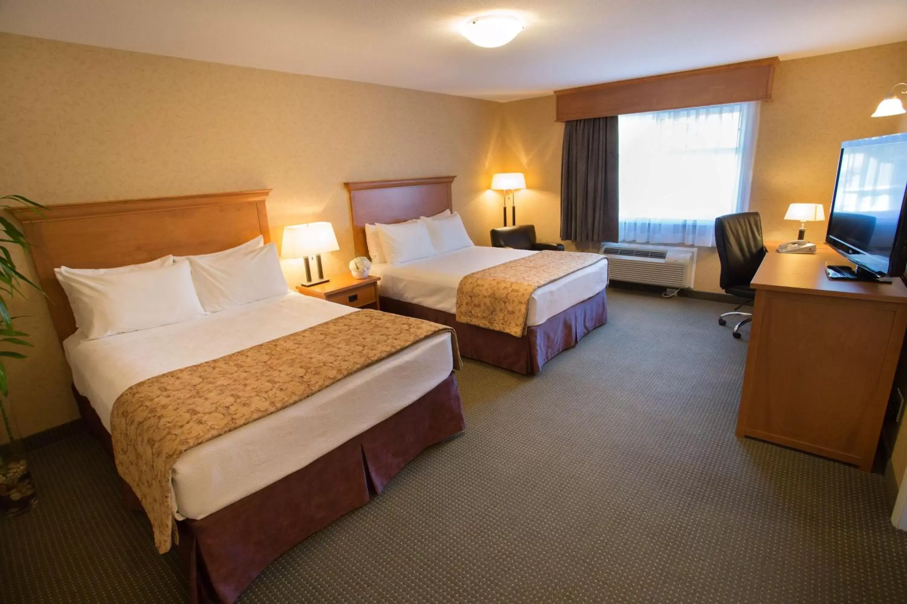 Photo of the whole room, Bed in Best Western Sicamous Inn