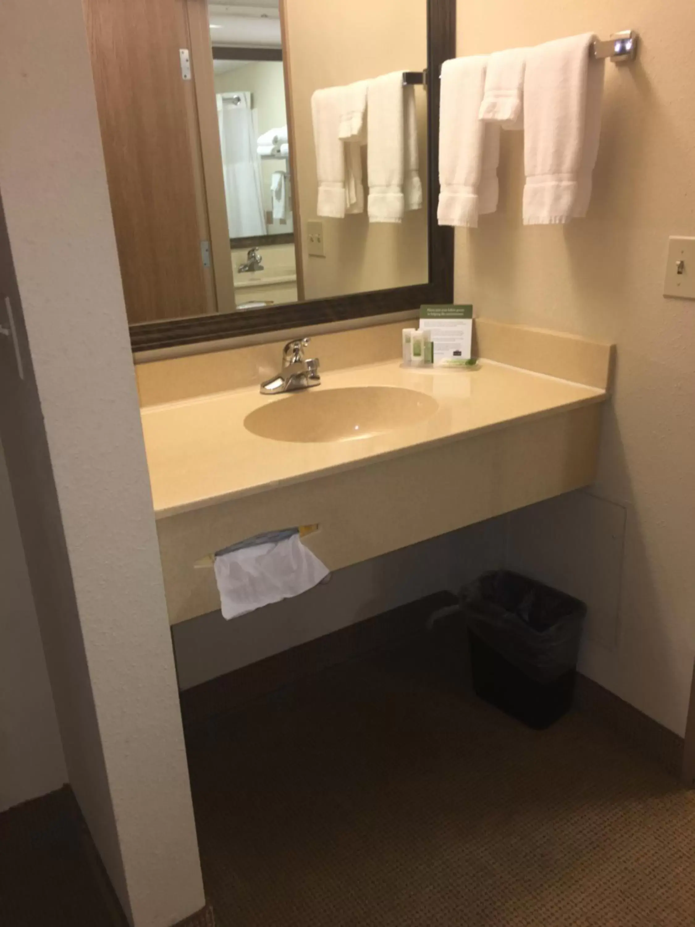 Bathroom in AmericInn by Wyndham Monmouth