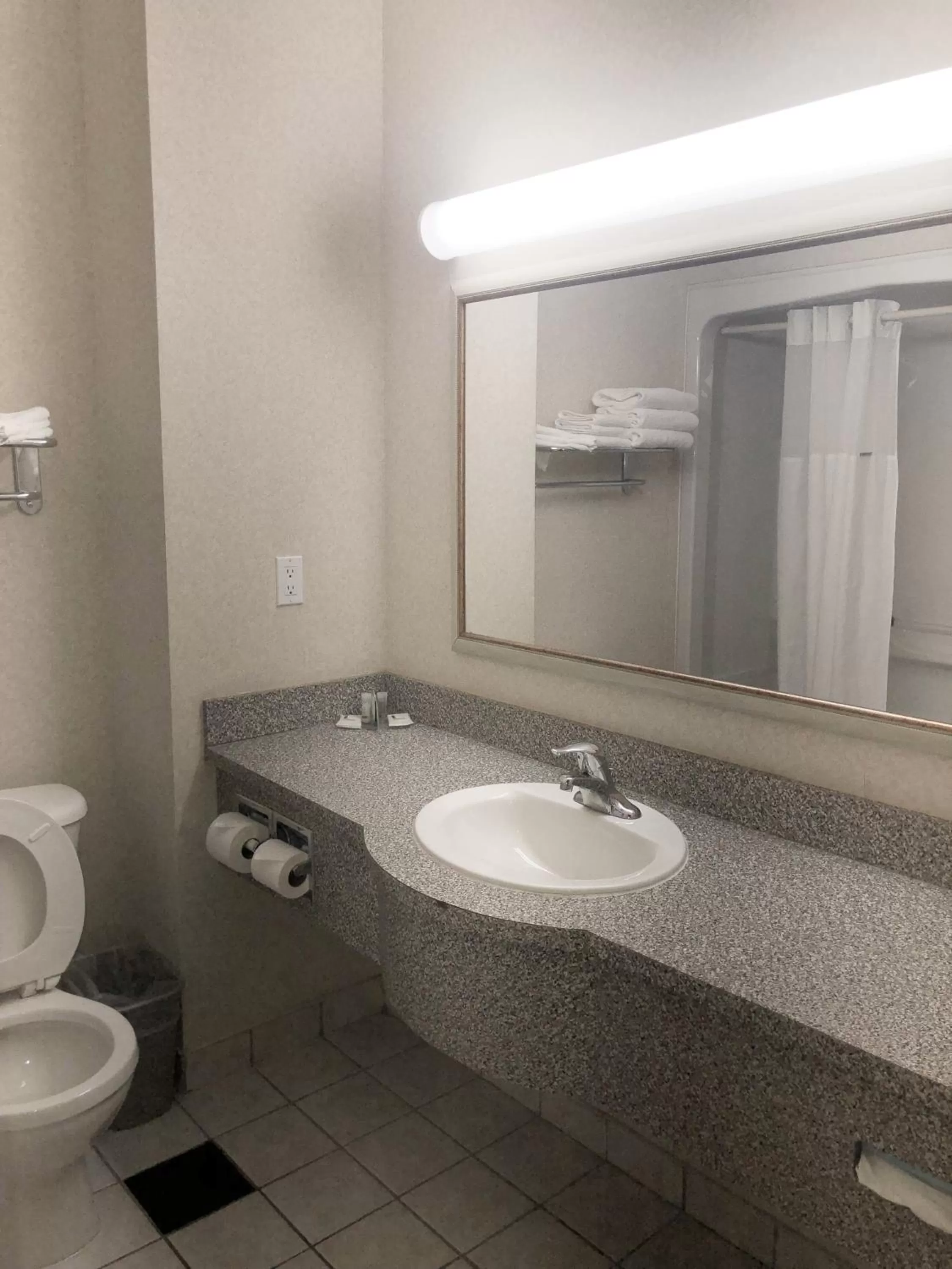 Toilet in Days Inn by Wyndham Niagara Falls Centre St By the Falls