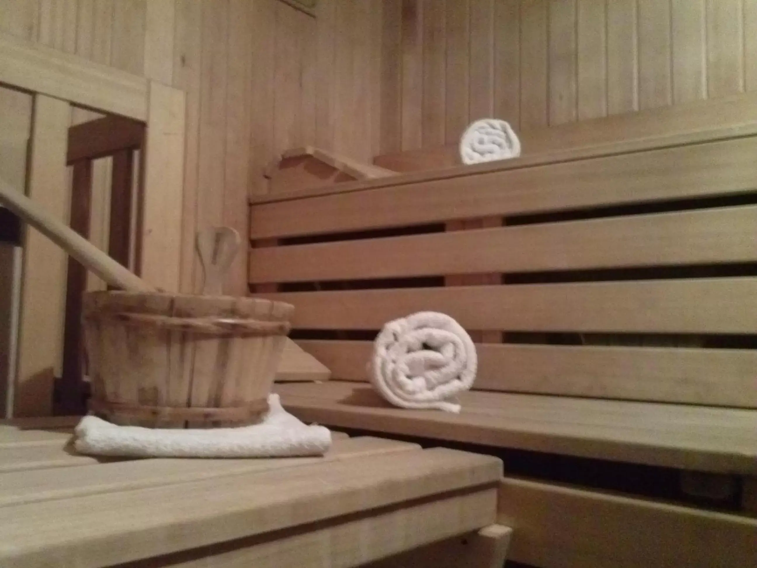 Sauna in Hotel Villa Fosine