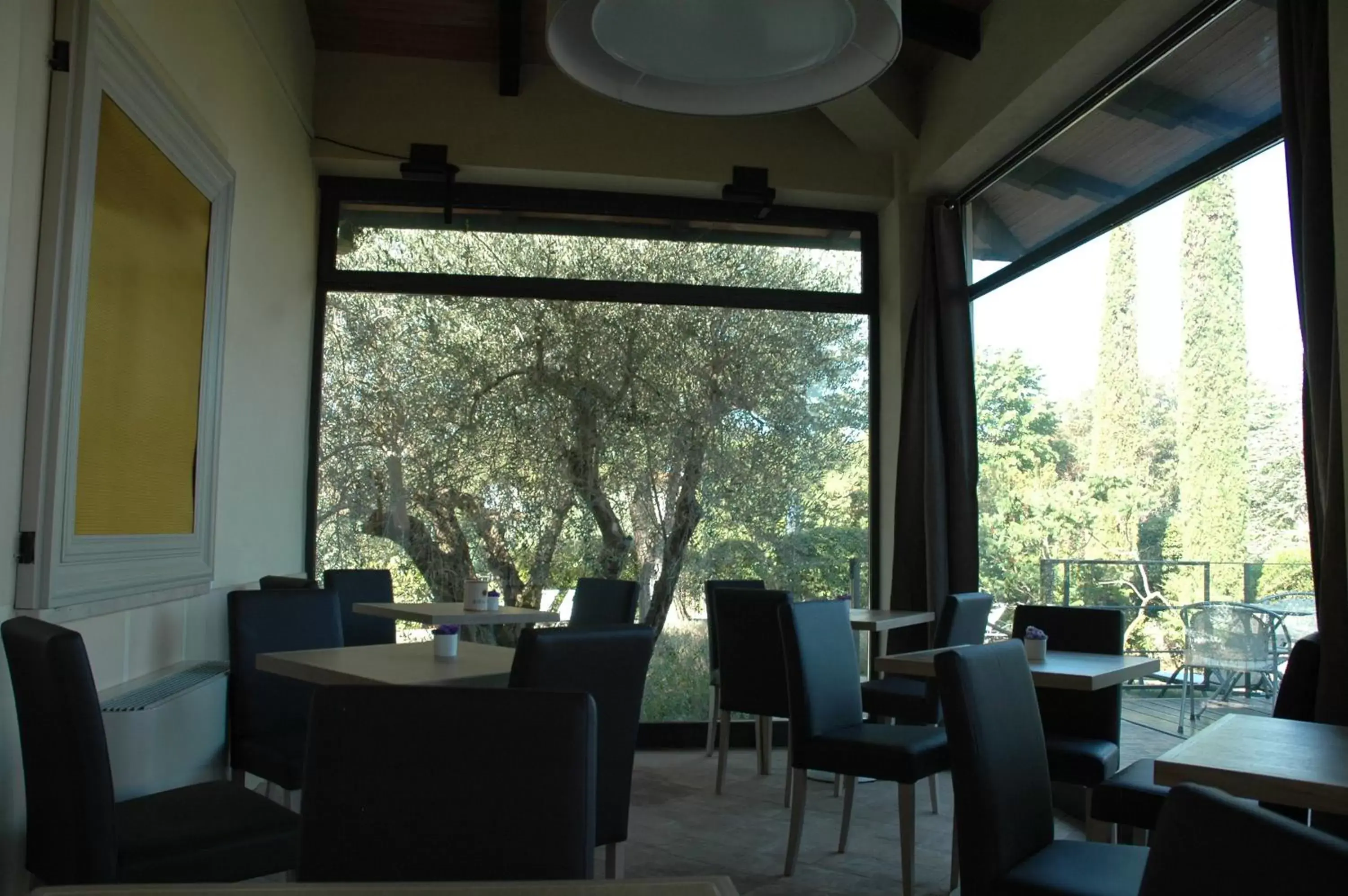 Garden, Restaurant/Places to Eat in Hotel Rutiliano