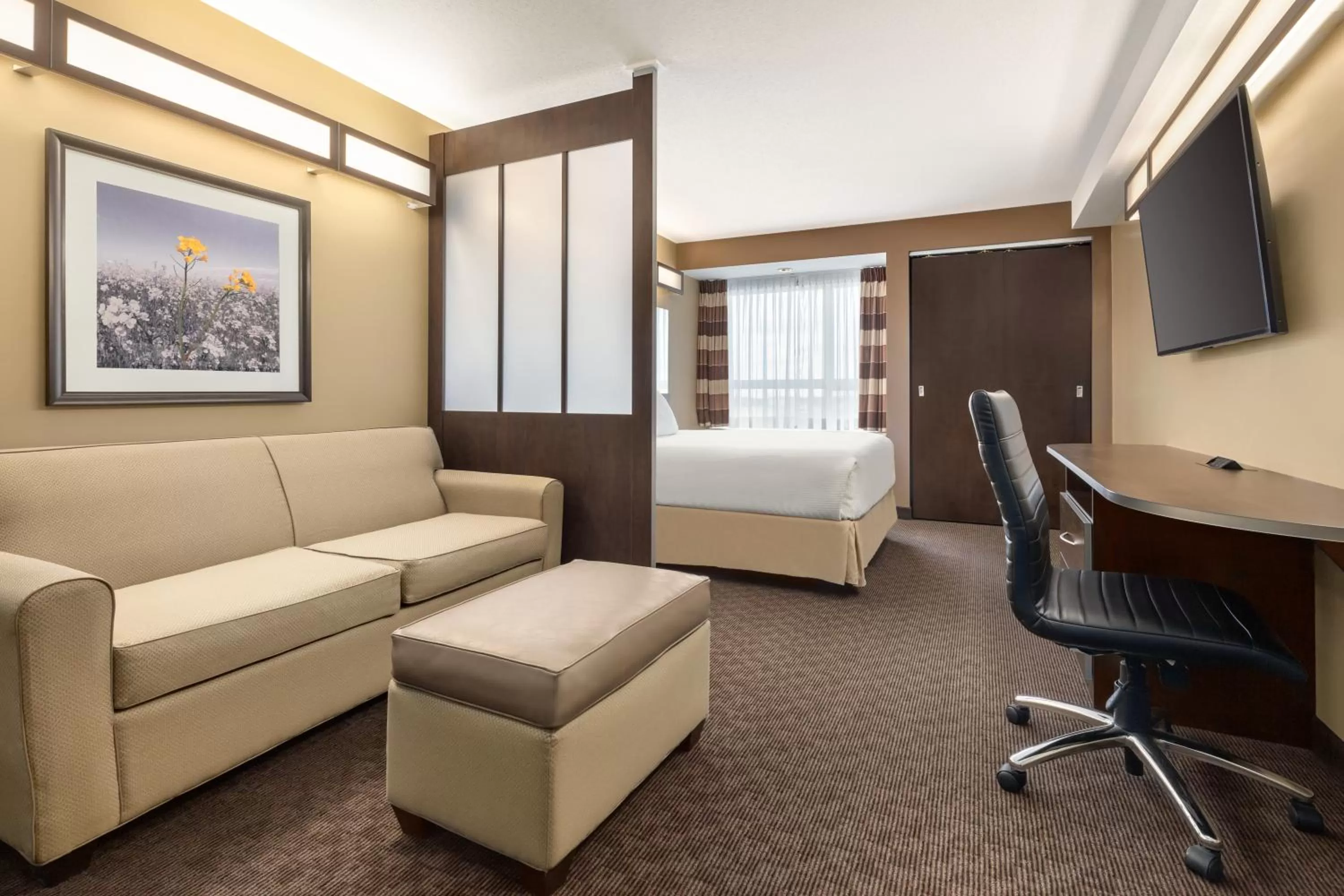 TV and multimedia, Bed in Microtel Inn & Suites by Wyndham Estevan