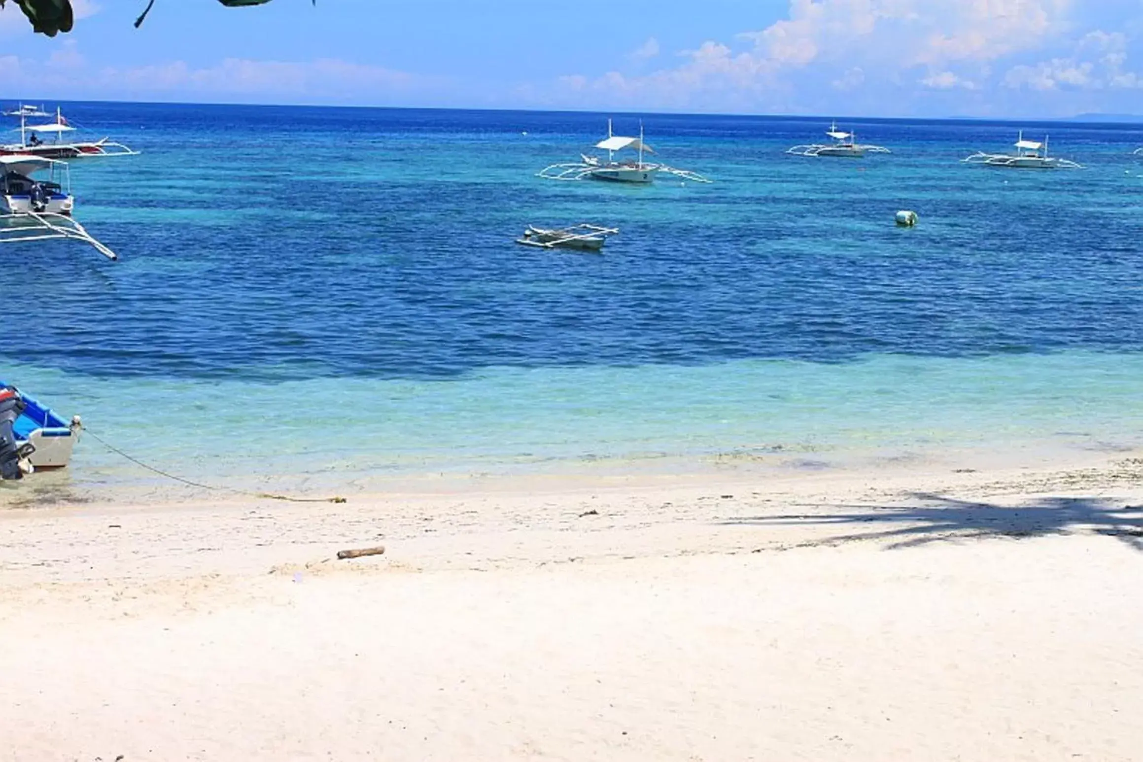 Beach in Lost Horizon Beach Dive Resort