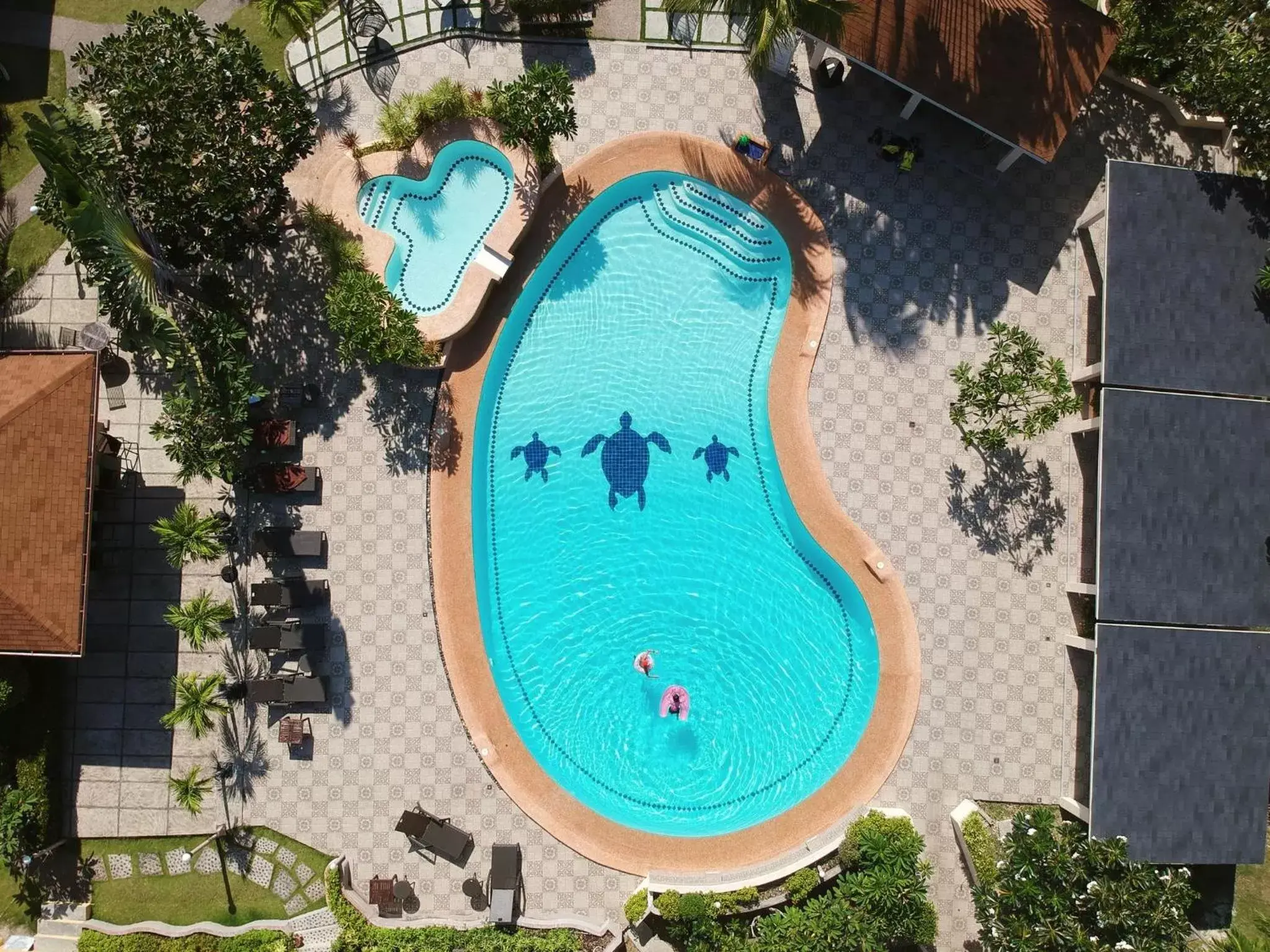 Swimming pool, Pool View in Turtle Bay Dive Resort