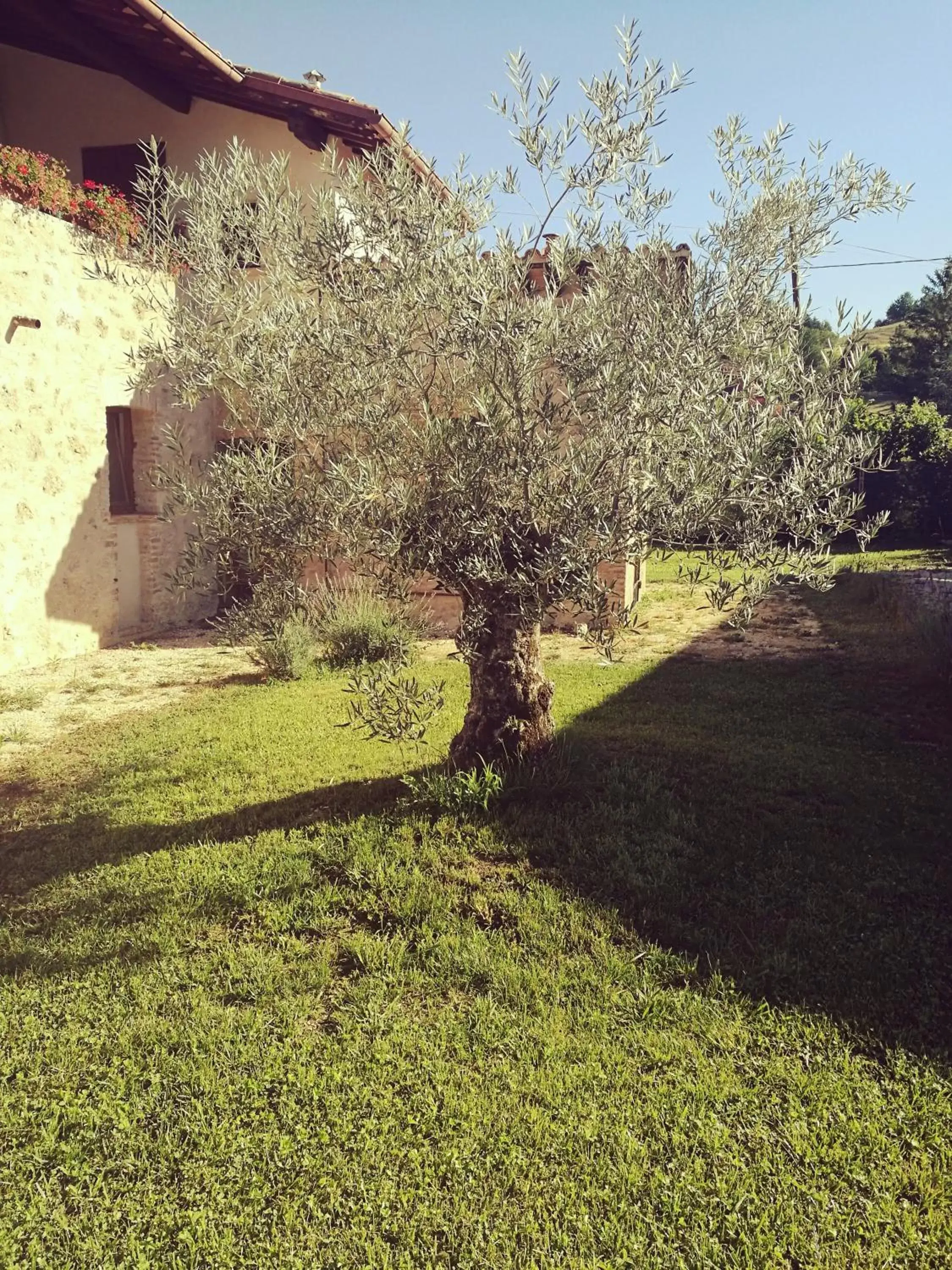 Garden in Il Casale dei Nonni