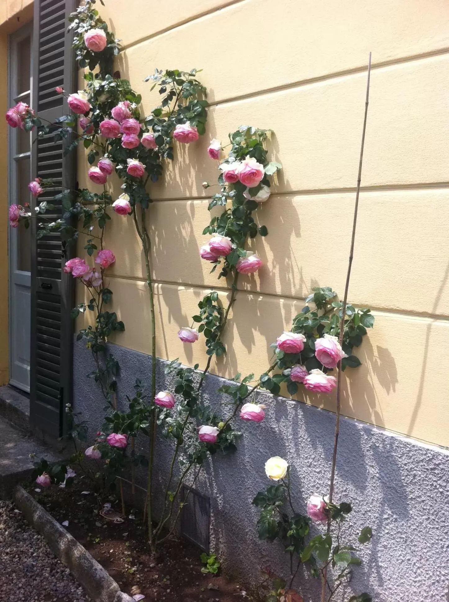 Facade/entrance in Villa Corti