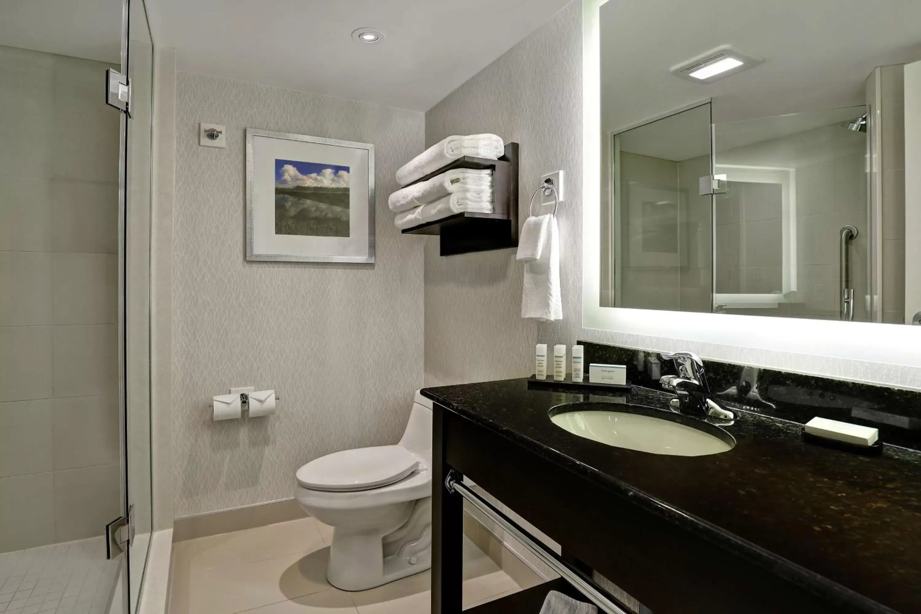 Bathroom in Embassy Suites by Hilton Niagara Falls/ Fallsview