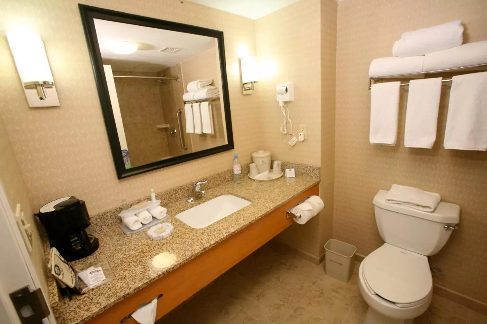 Bathroom in Holiday Inn Express Saltillo Zona Aeropuerto, an IHG Hotel