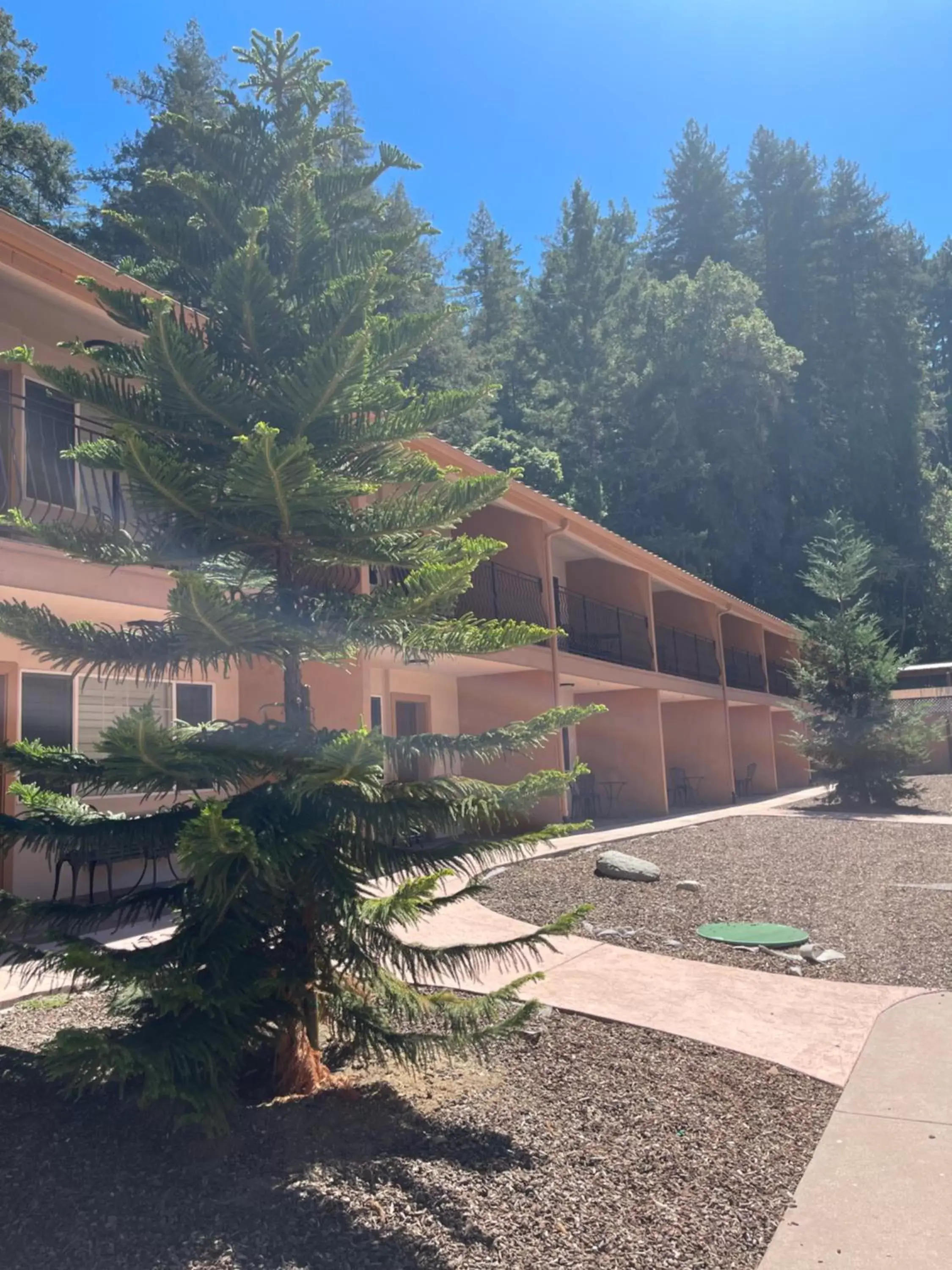 Property building in The Historic Brookdale Lodge, Santa Cruz Mountains Property building in The Historic Brookdale Lodge, Santa Cruz Mountains