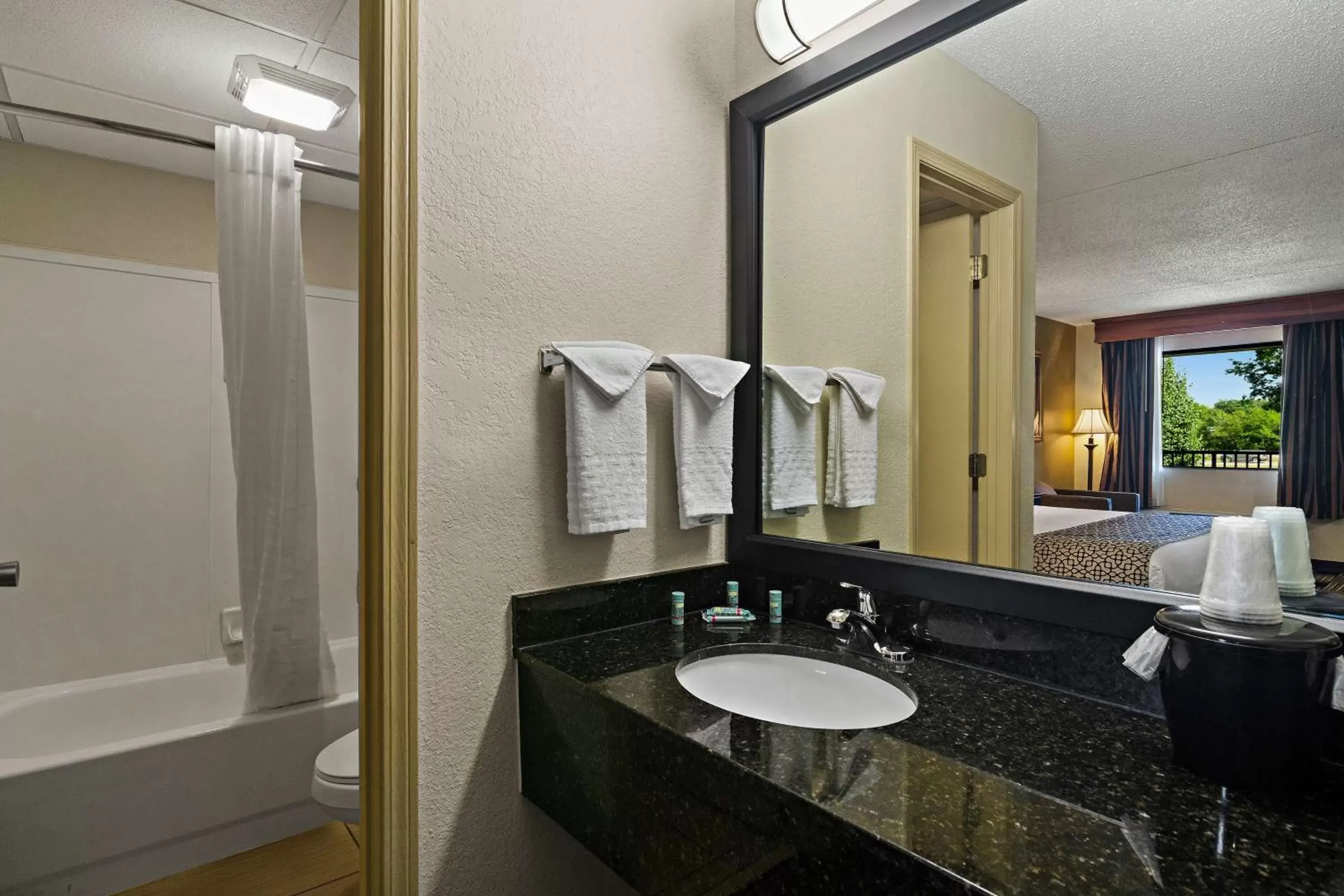 Bathroom in Best Western Windsor Suites
