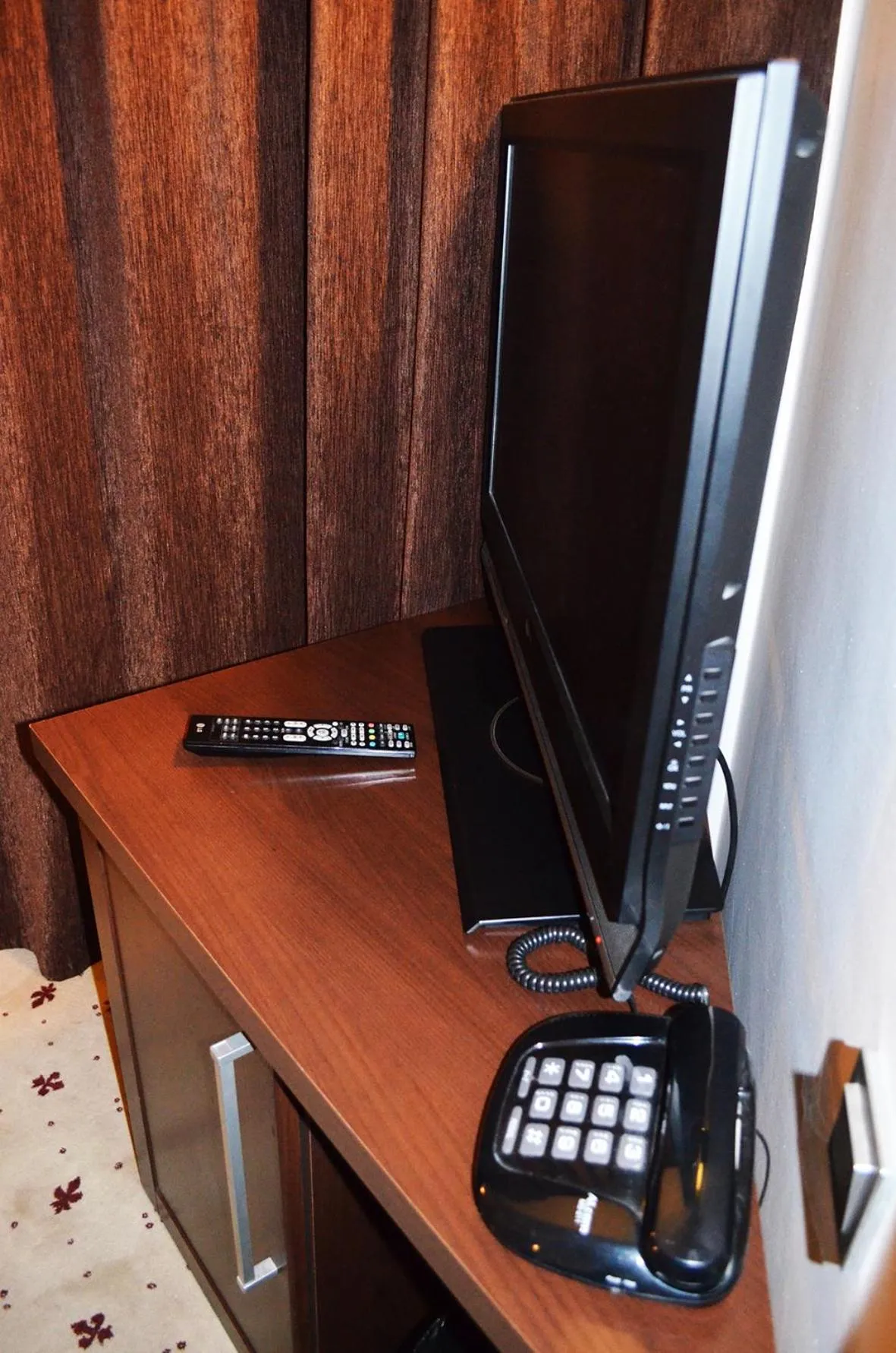 TV and multimedia in Hotel Premier