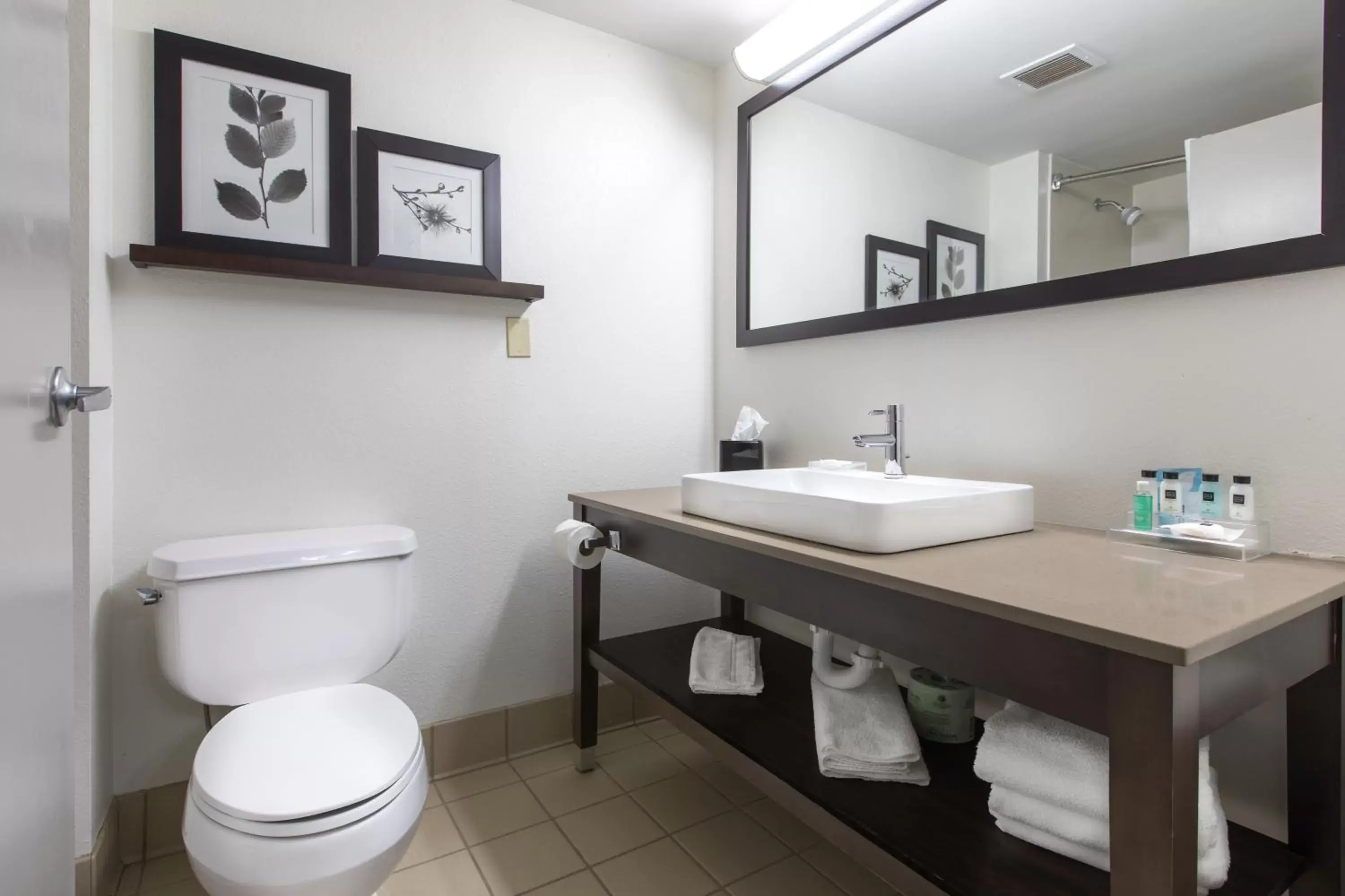 Bathroom in Country Inn & Suites by Radisson, Lake Norman Huntersville, NC