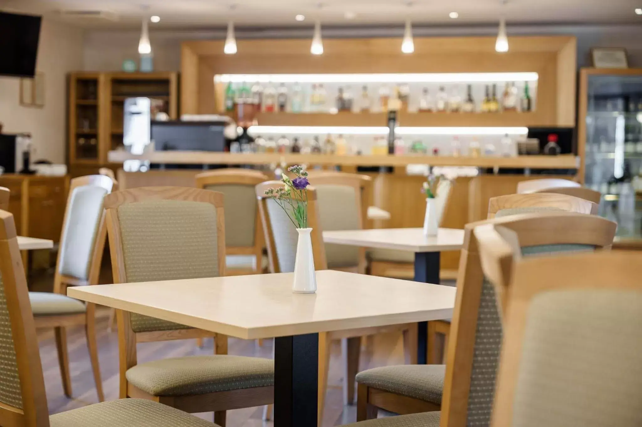 Restaurant/places to eat in Euterpe Hotel Restaurant/places to eat in Euterpe Hotel