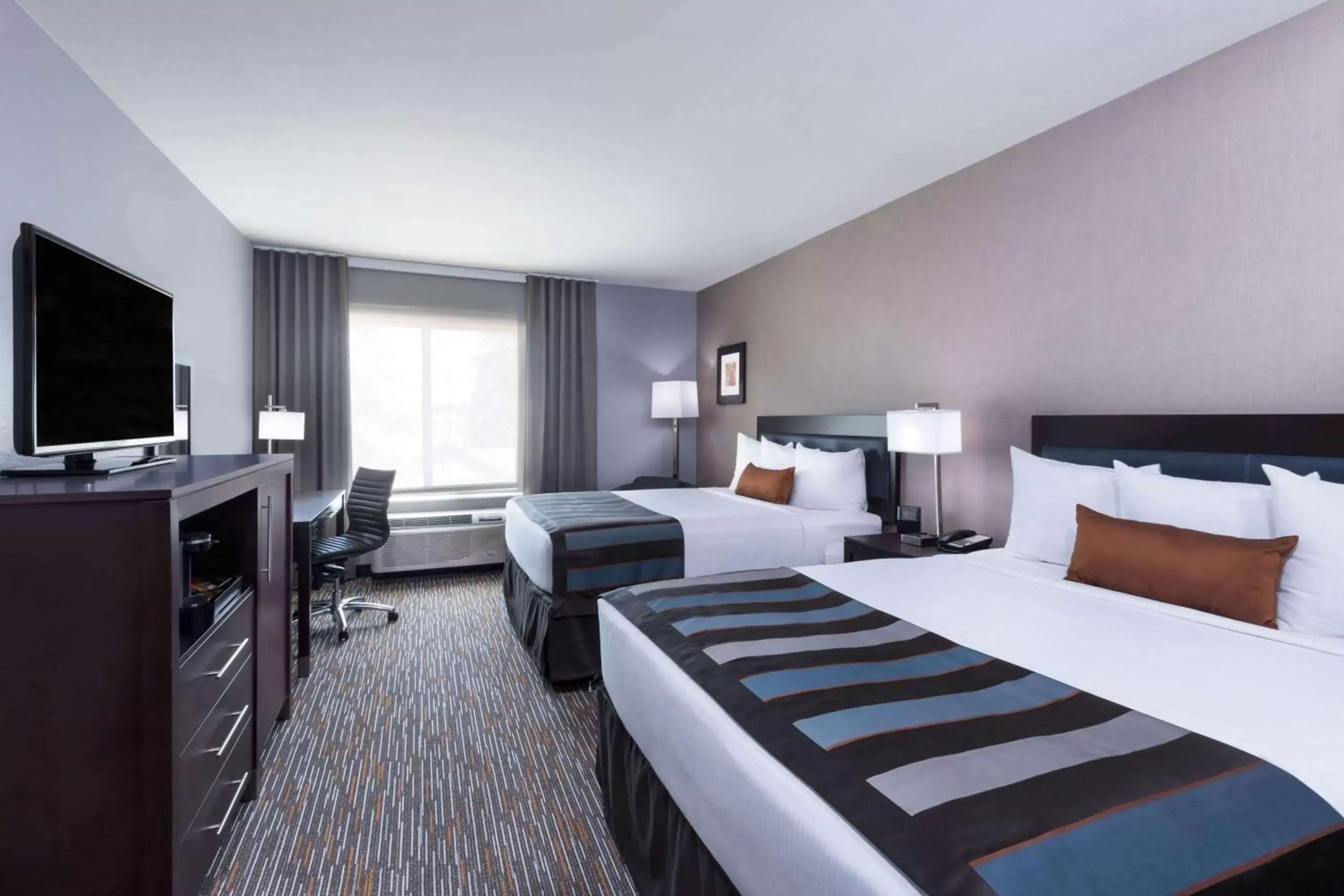 Photo of the whole room, Bed in Wingate by Wyndham Sidney Photo of the whole room, Bed in Wingate by Wyndham Sidney