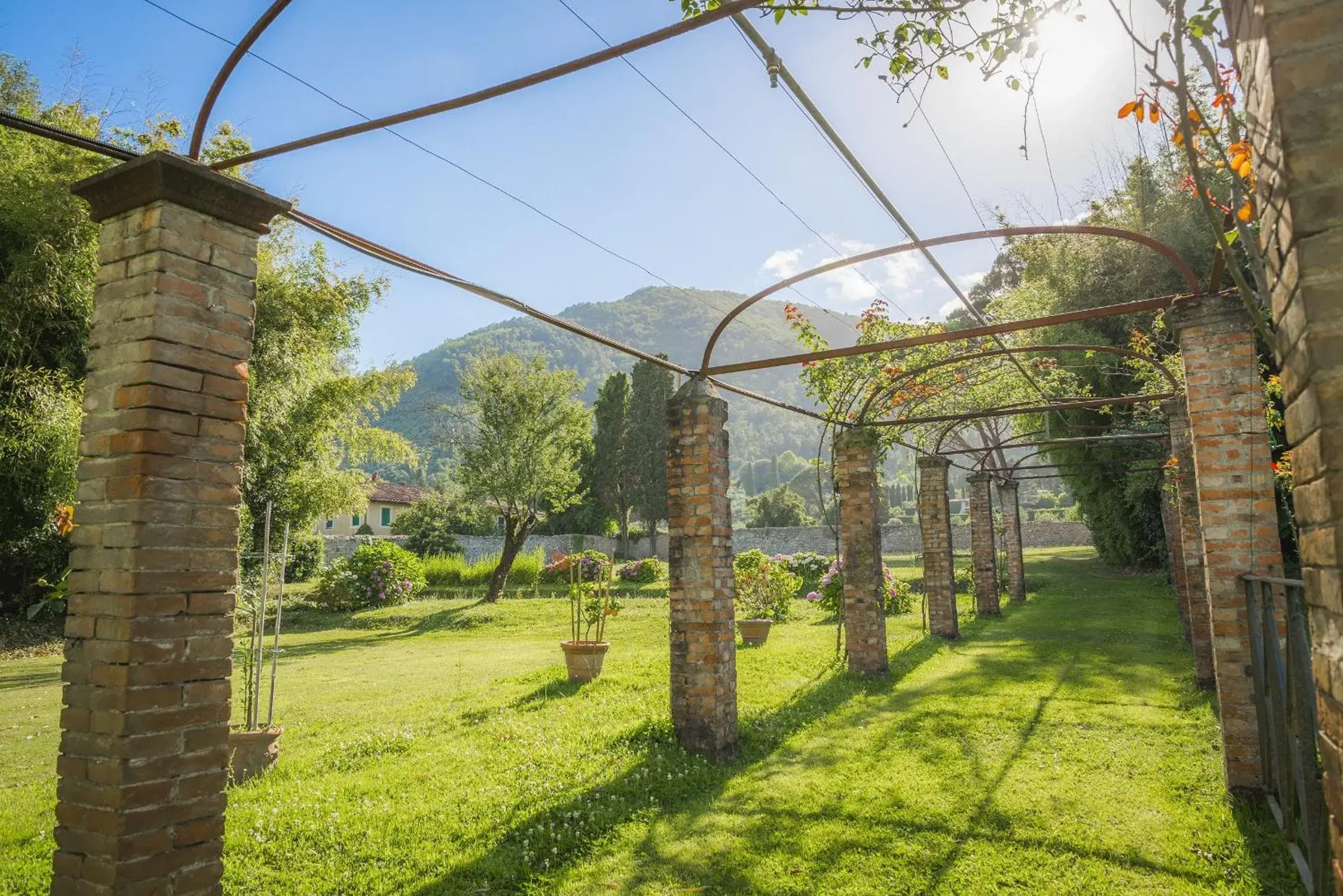 Garden in Hotel Villa La Principessa