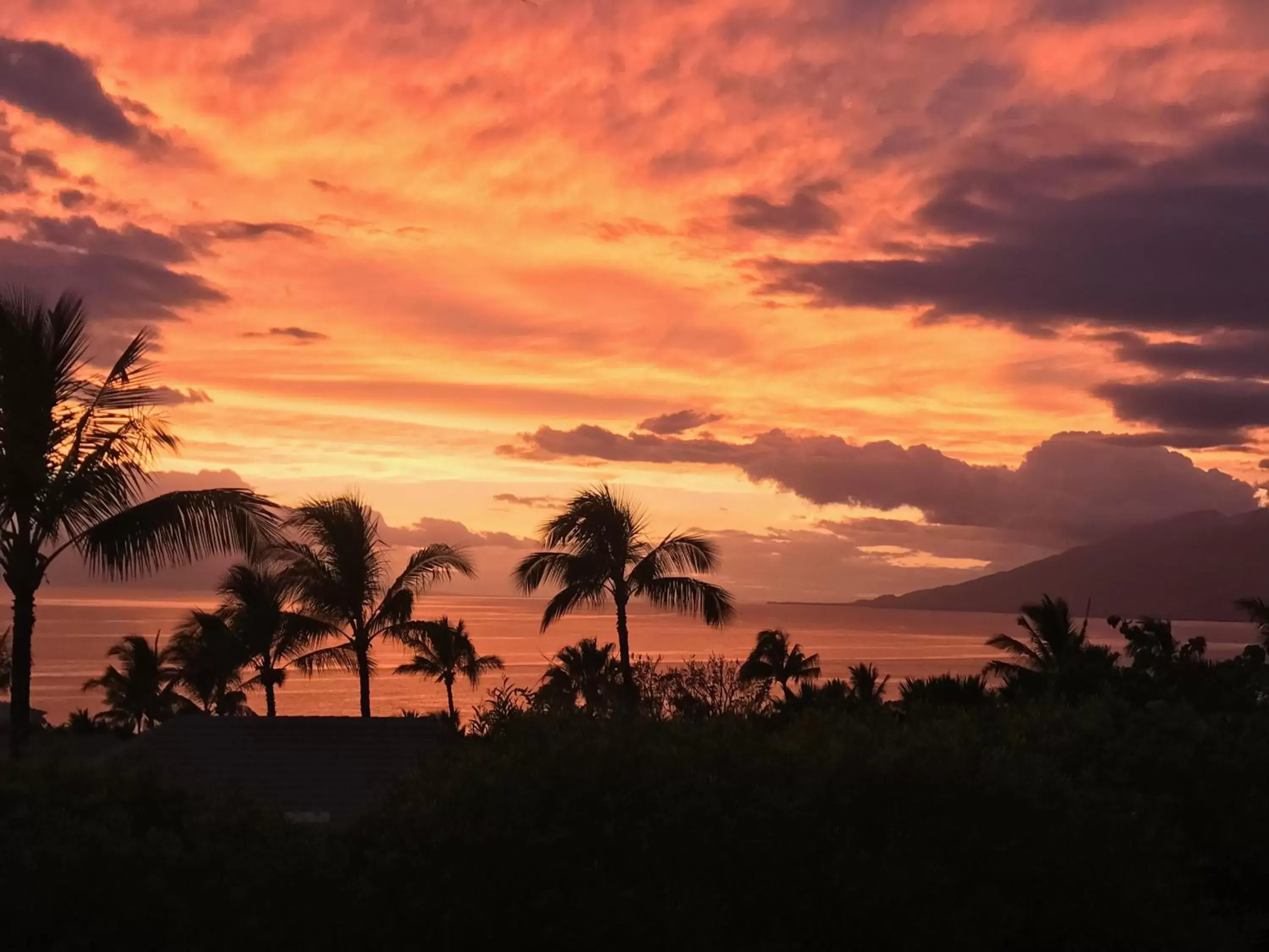 Sea view, Sunrise/Sunset in Hotel Wailea, Relais & Châteaux - Adults Only