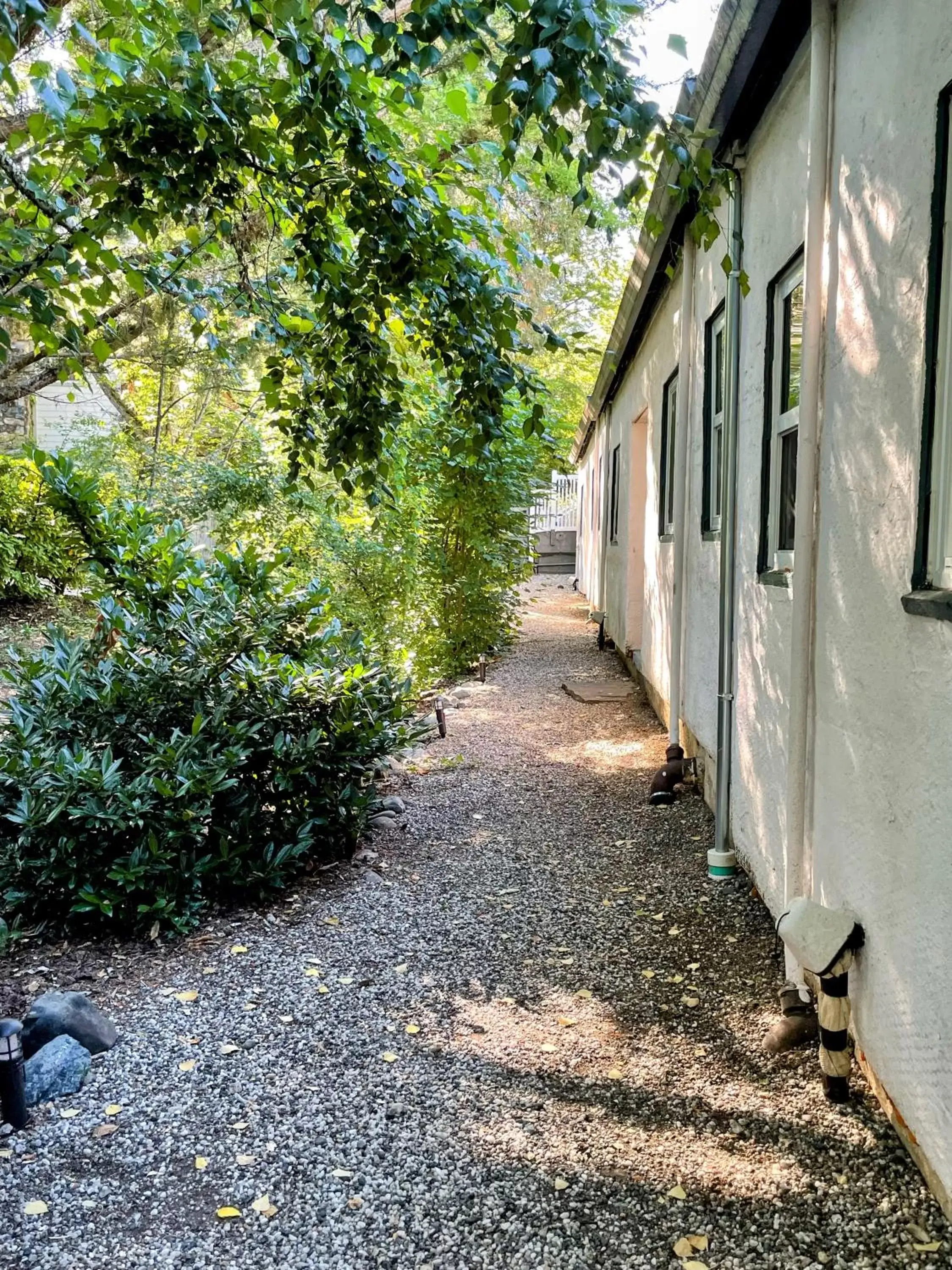 Garden in Outside Inn