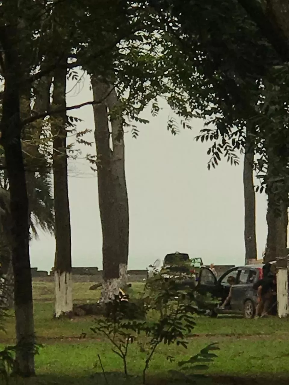 Garden in Hotel Nino Ureki