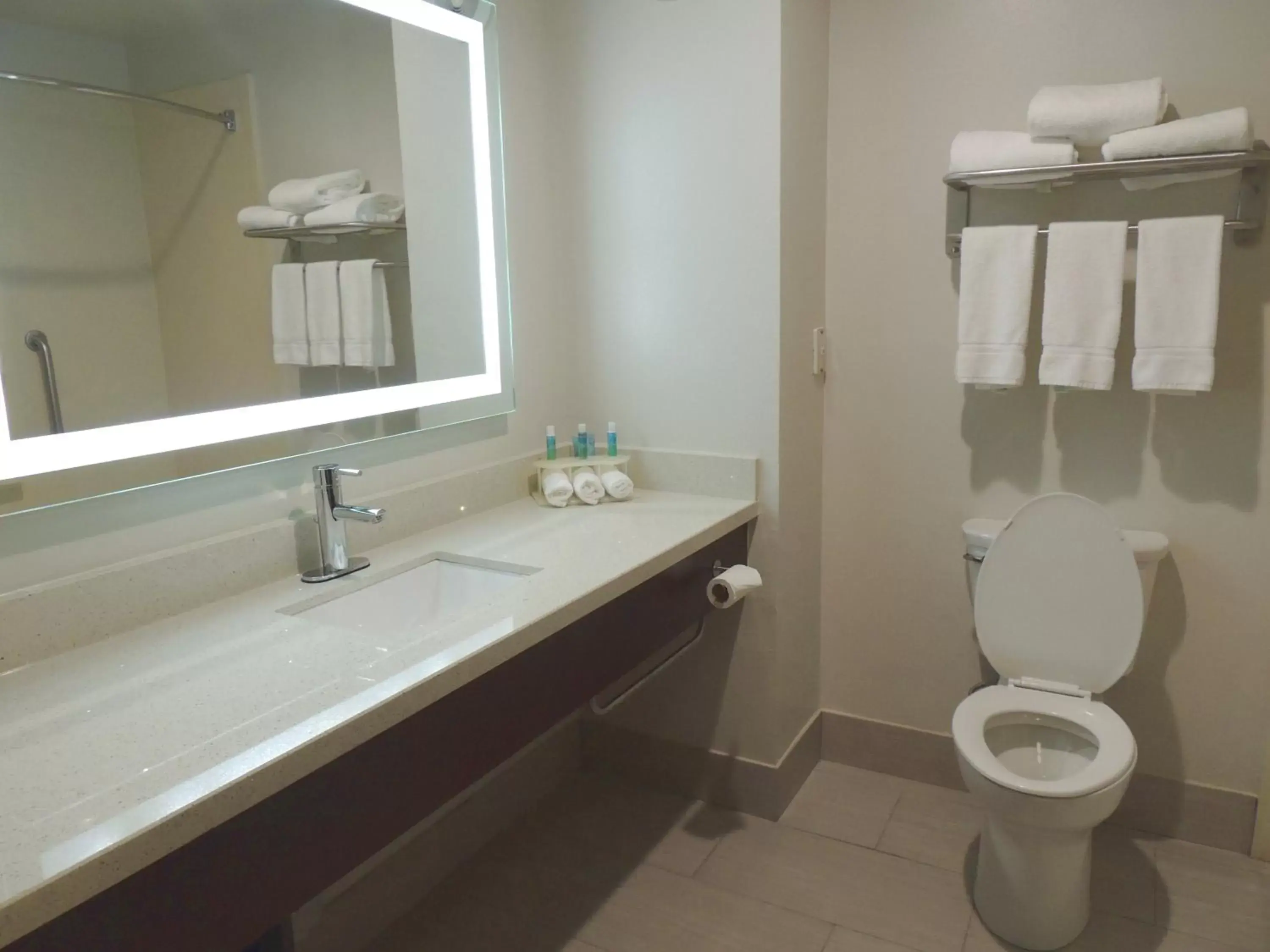 Photo of the whole room, Bathroom in Holiday Inn Express Trussville, an IHG Hotel