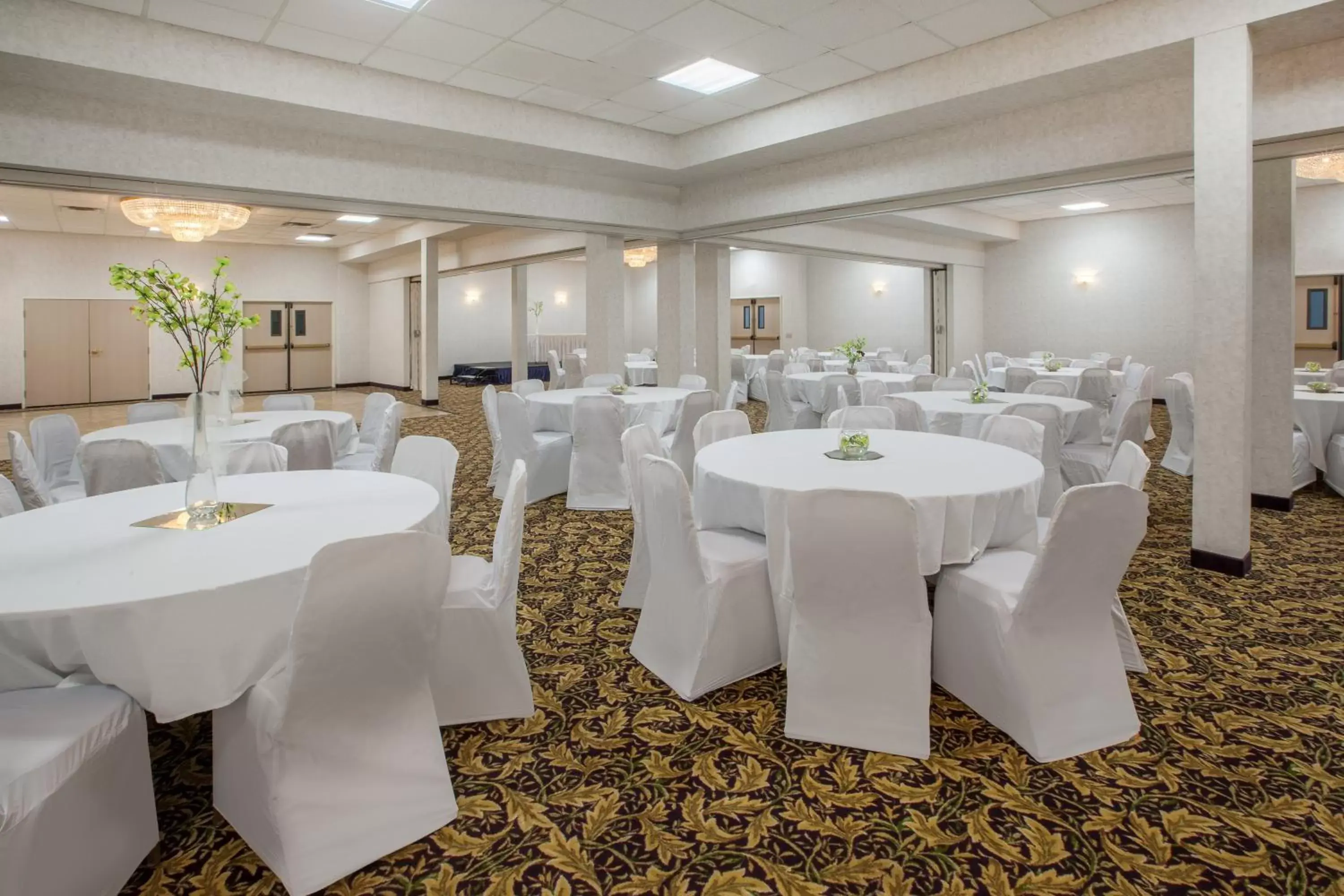 Banquet/Function facilities, Banquet Facilities in Baymont by Wyndham South Haven