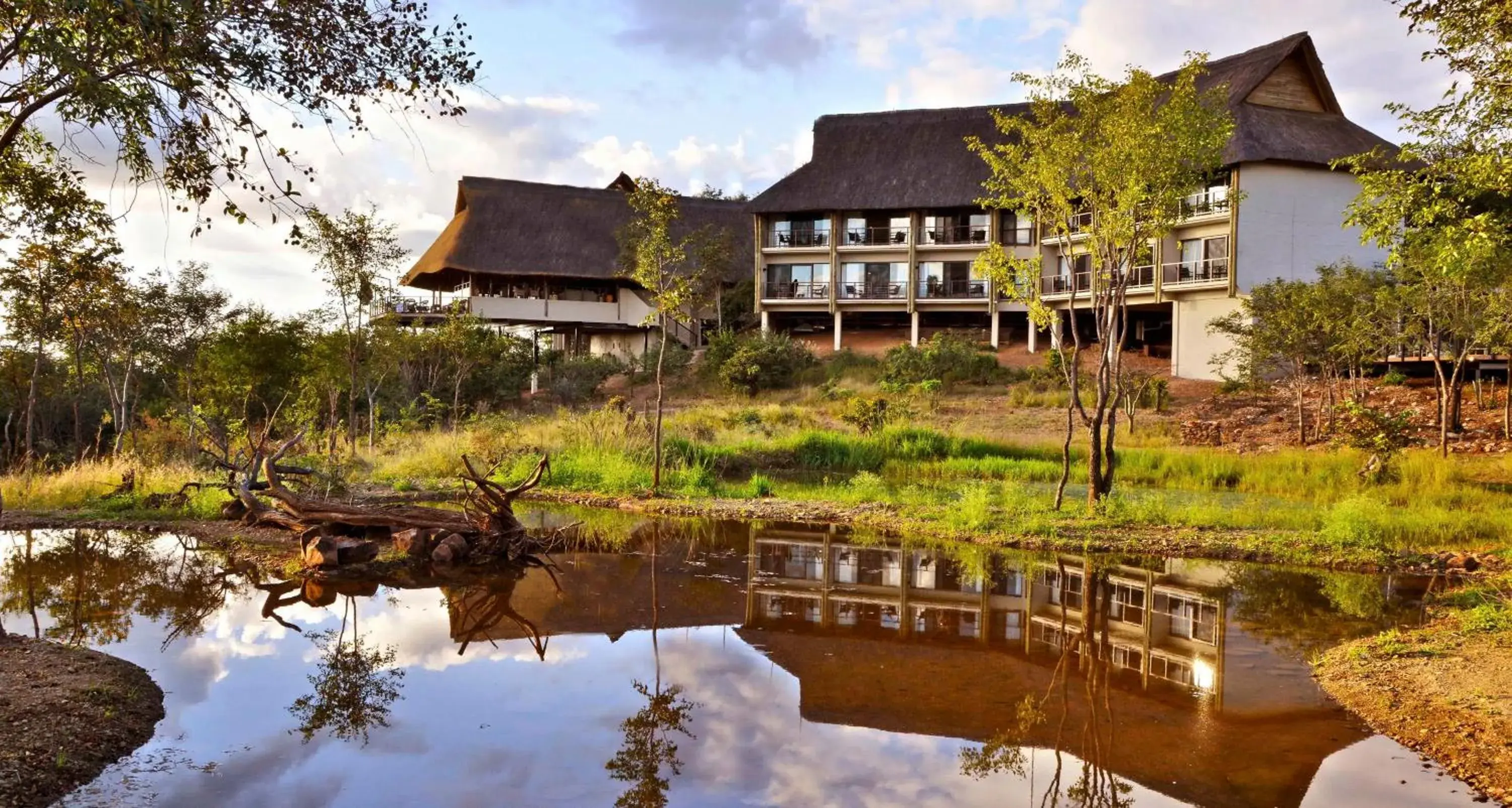 View (from property/room) in Victoria Falls Safari Club View (from property/room) in Victoria Falls Safari Club
