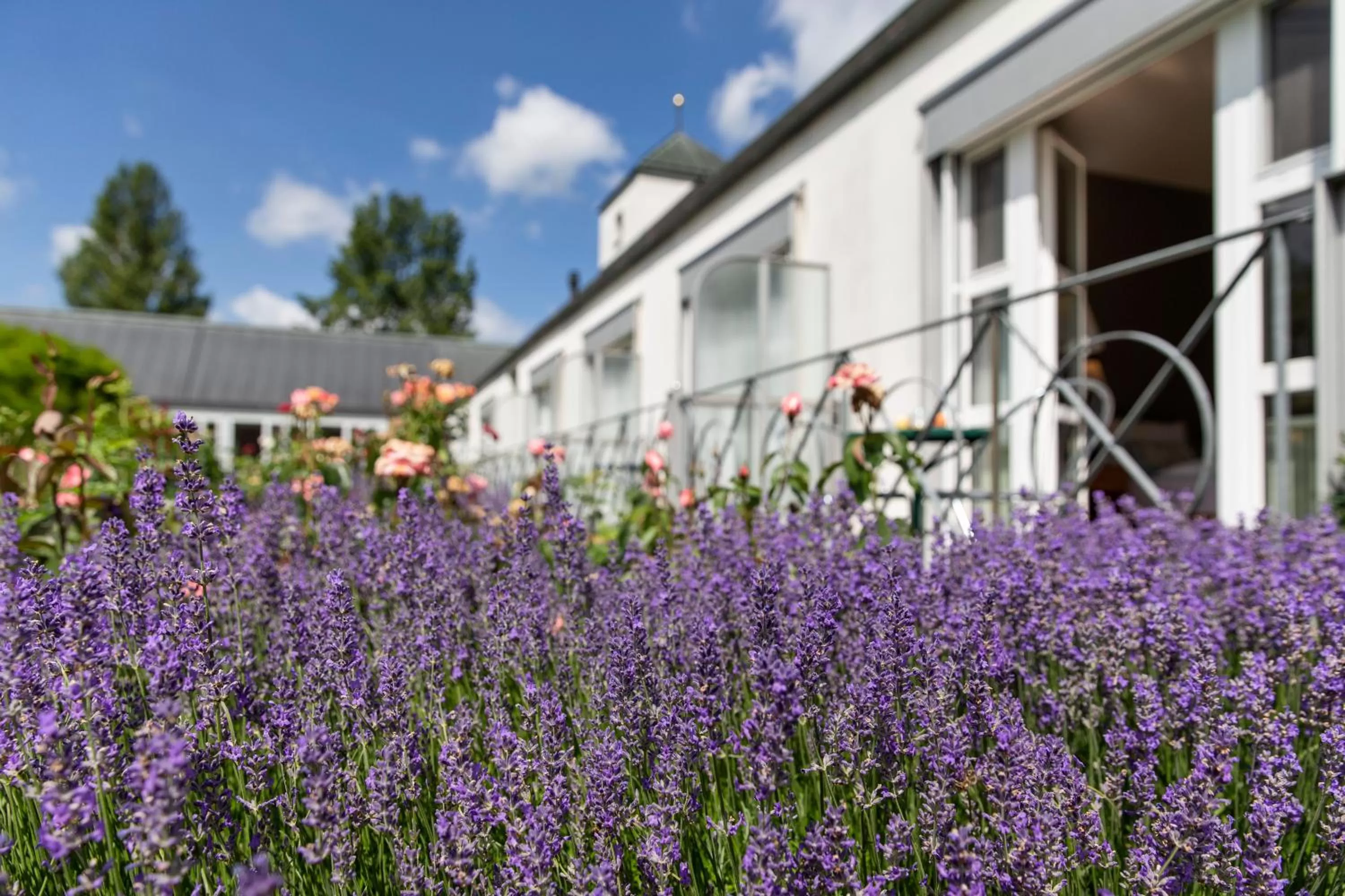 Balcony/Terrace in See & Park Hotel Feldbach