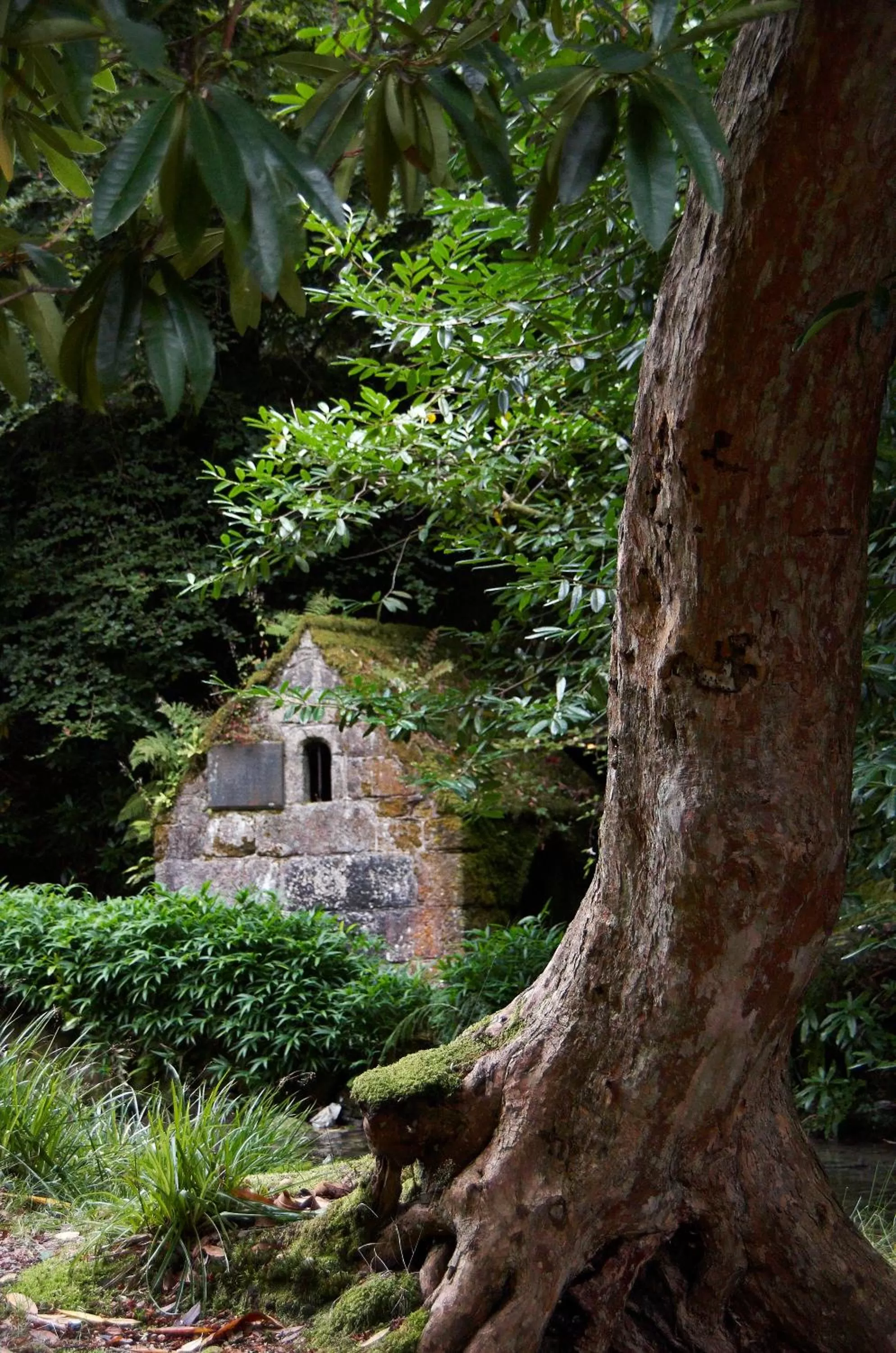 Area and facilities in The Waterwheel