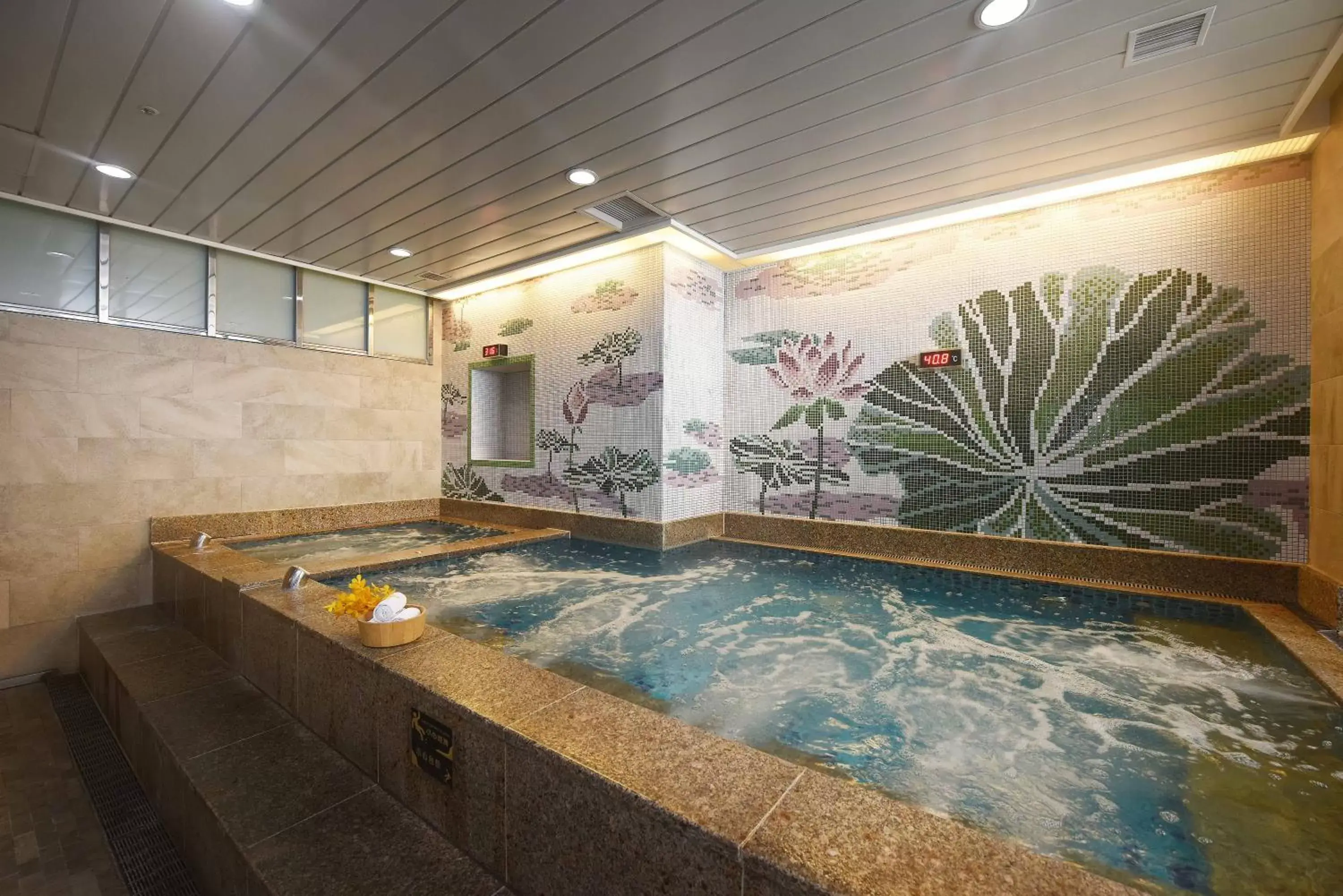 Sauna, Swimming Pool in Fullon Hotel Hualien