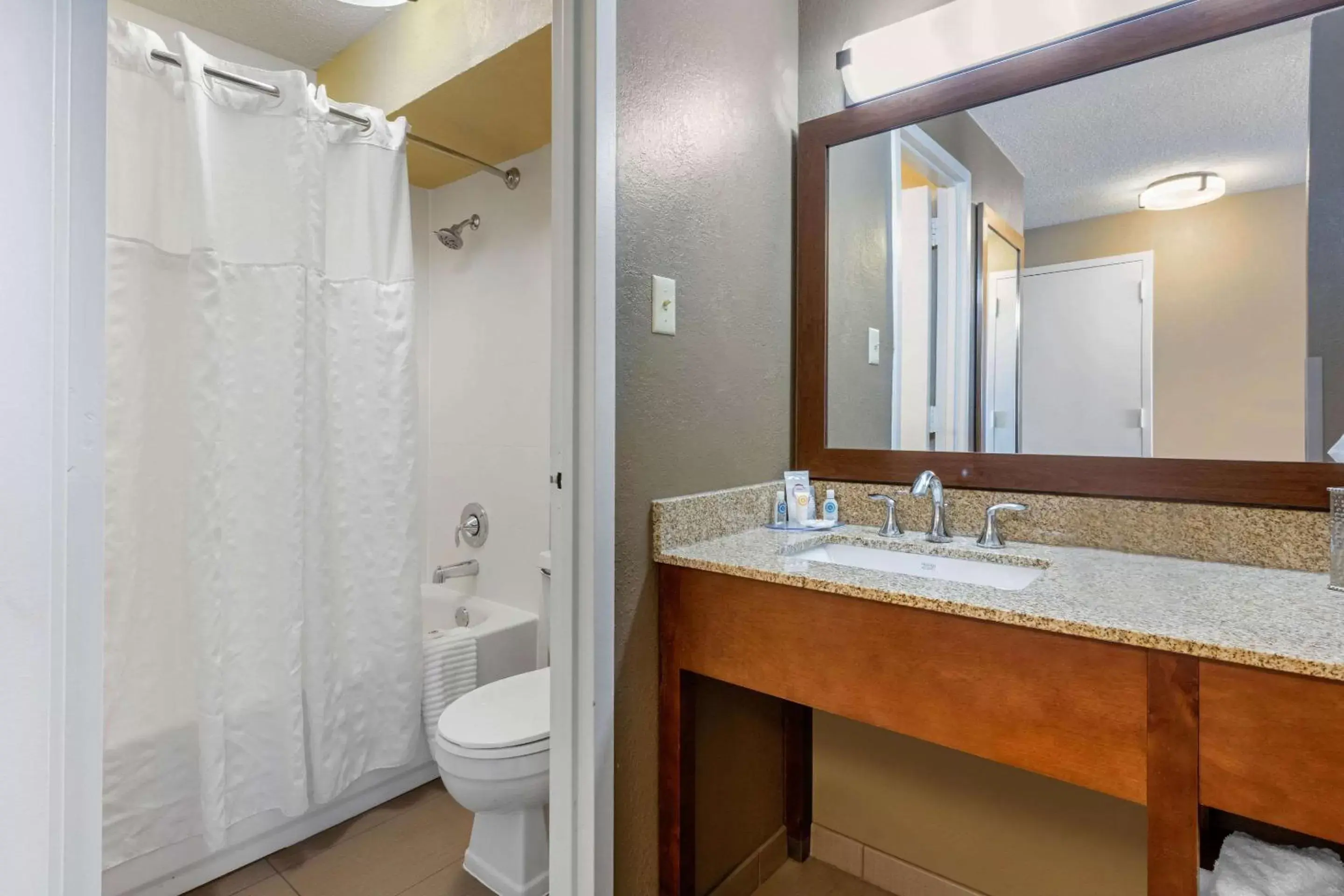 Photo of the whole room, Bathroom in Comfort Inn Memphis Downtown