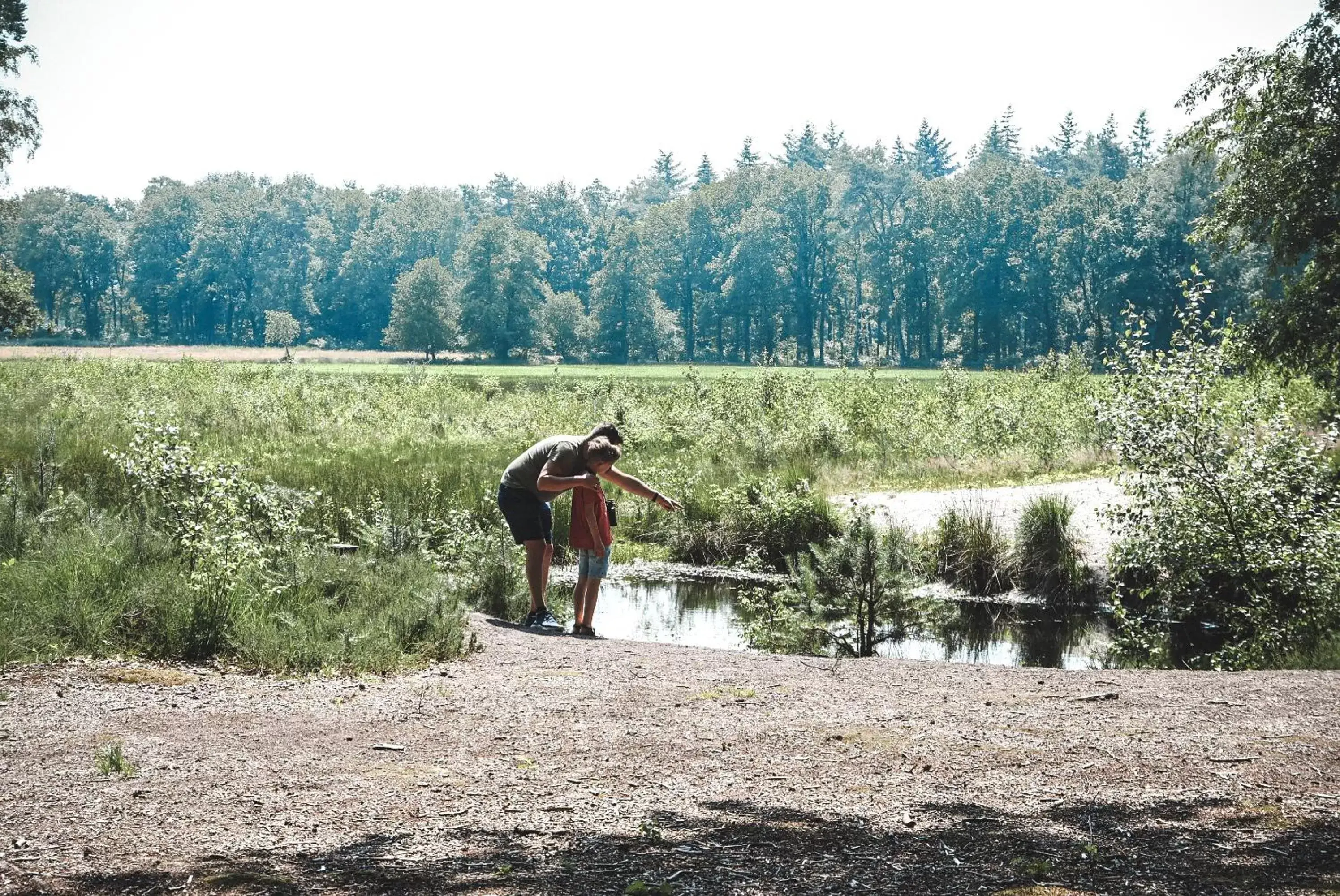 Natural landscape, Other Animals in Witte Berken Natuurhotel