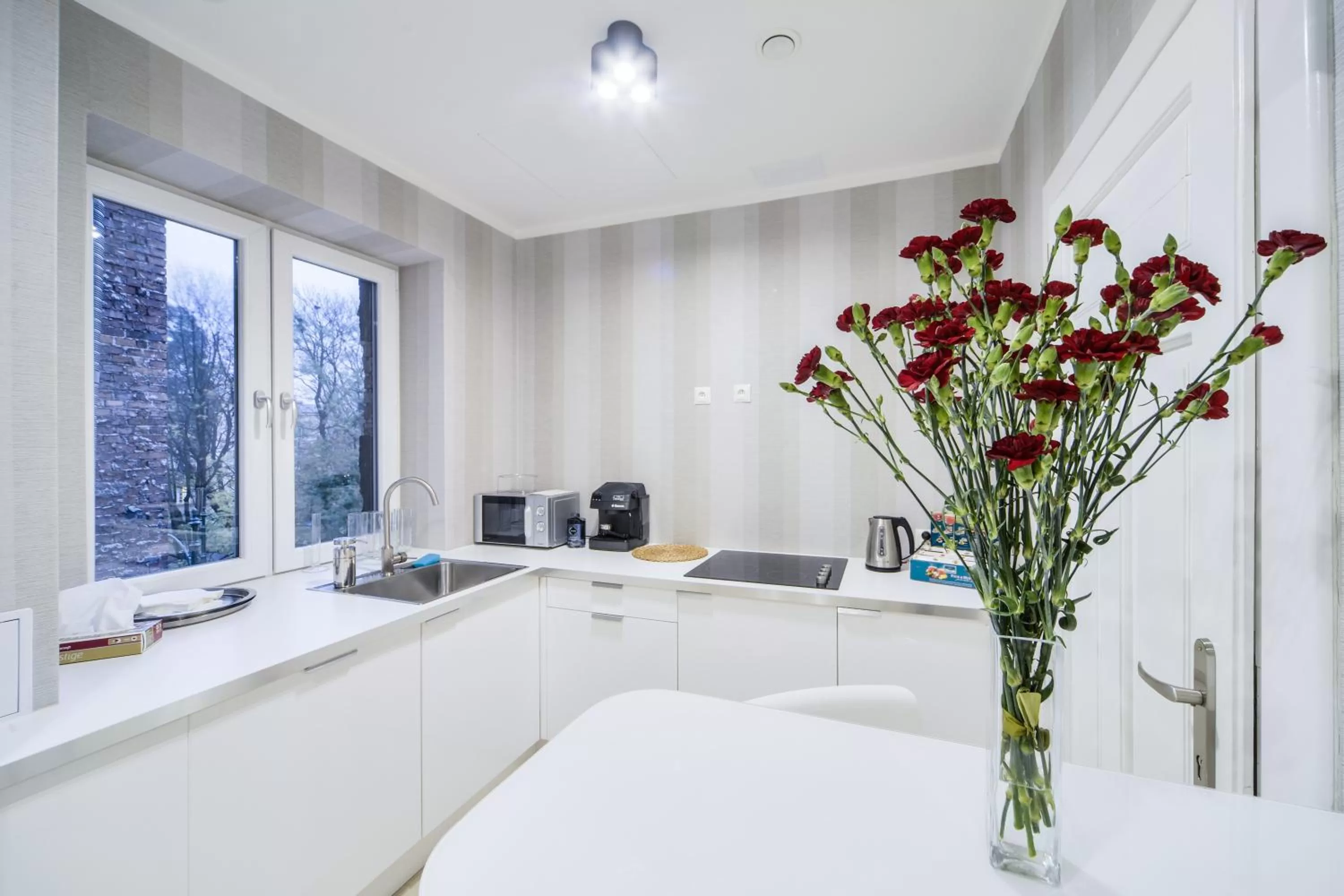 Kitchen or kitchenette in NOVUMHOUSE - Straszewskiego