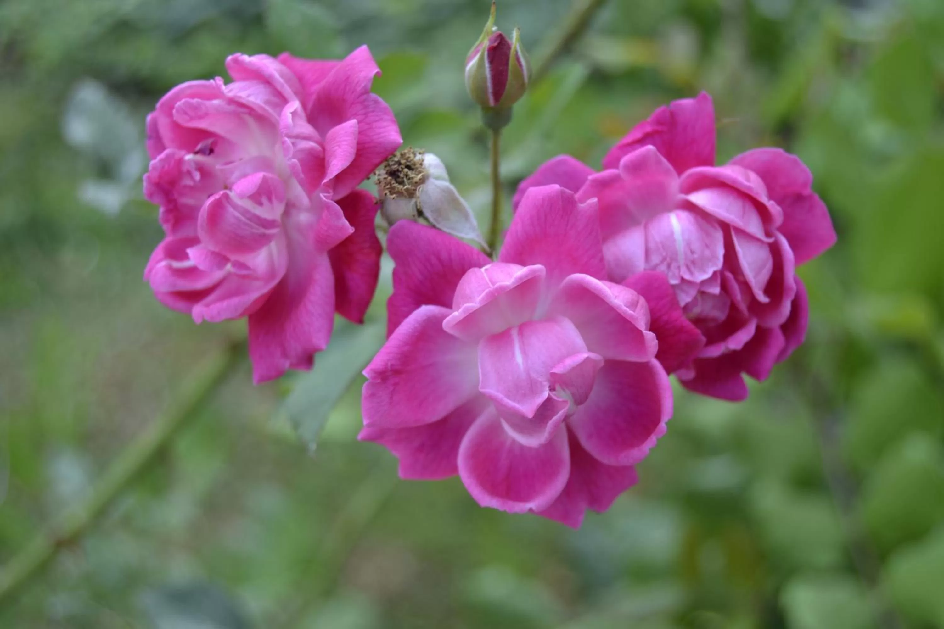 GLEM rooms & breakfast