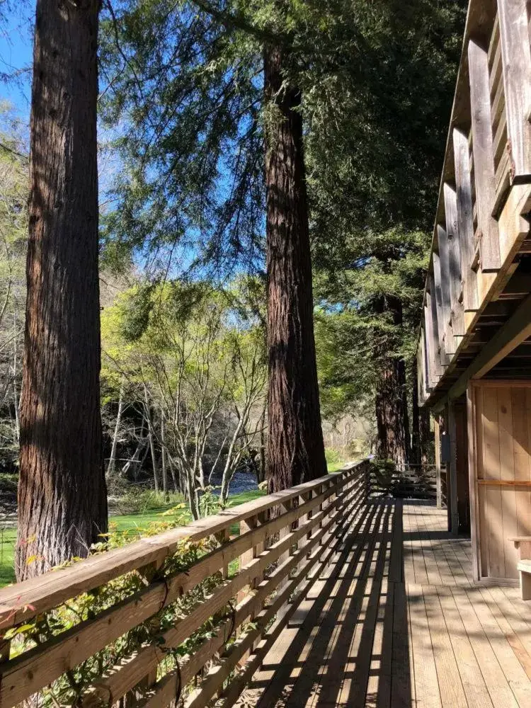 Balcony/Terrace in Big Sur River Inn