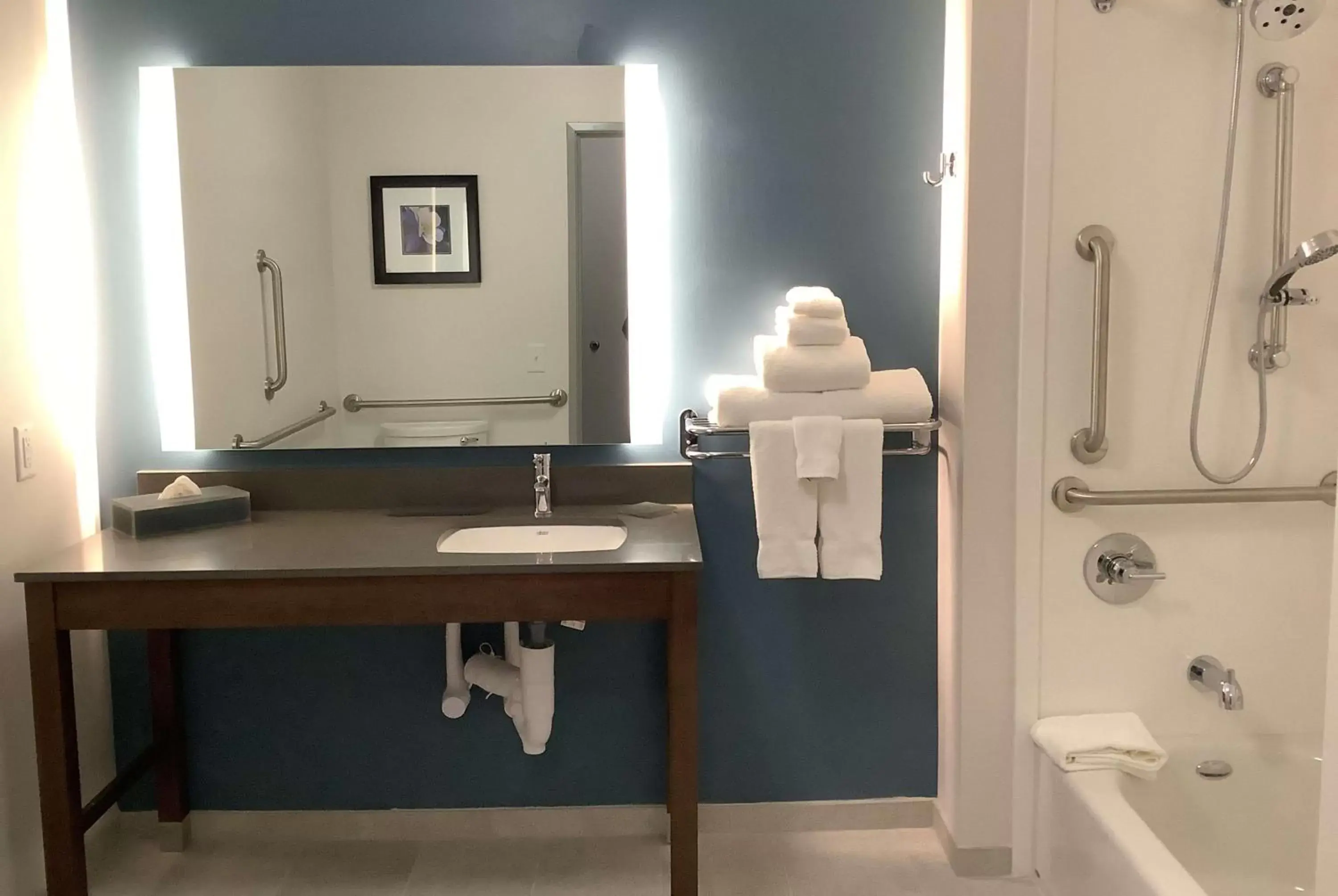 Bathroom in La Quinta Inn & Suites by Wyndham Littleton-Red Rocks