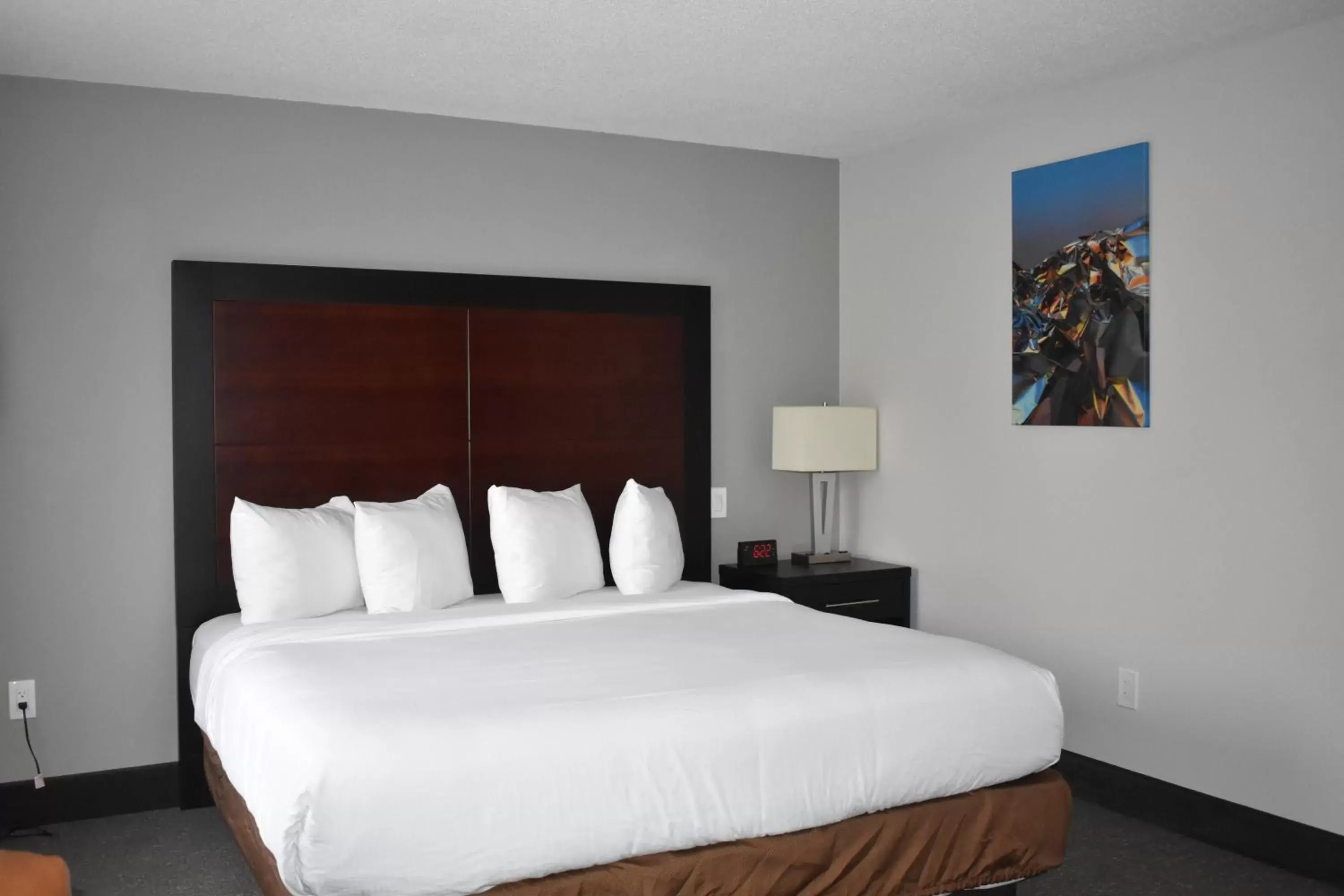 Photo of the whole room, Bed in Wingate by Wyndham Atlanta Galleria/ Ballpark