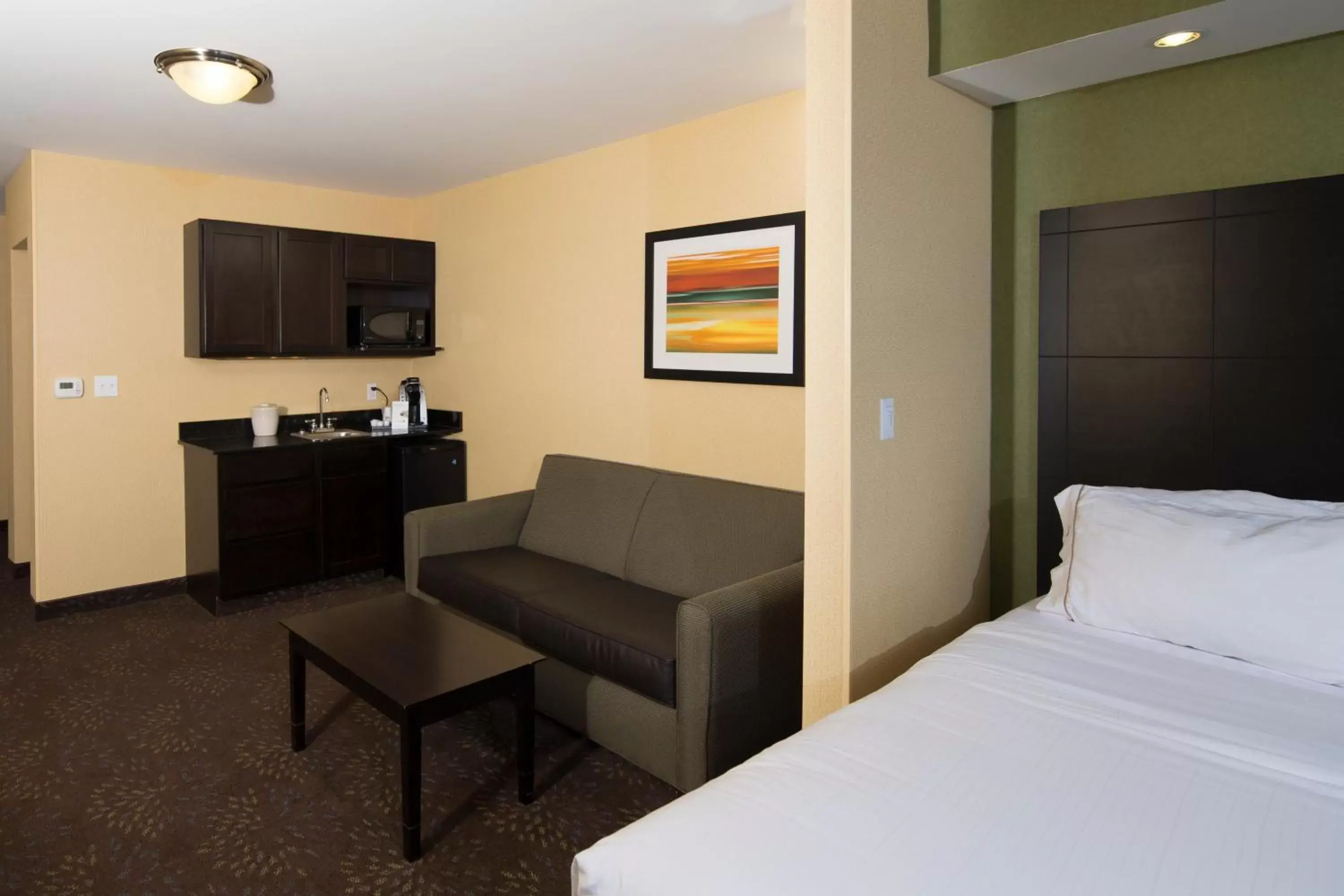 Photo of the whole room, Seating Area in Holiday Inn Express and Suites Detroit North-Troy, an IHG Hotel
