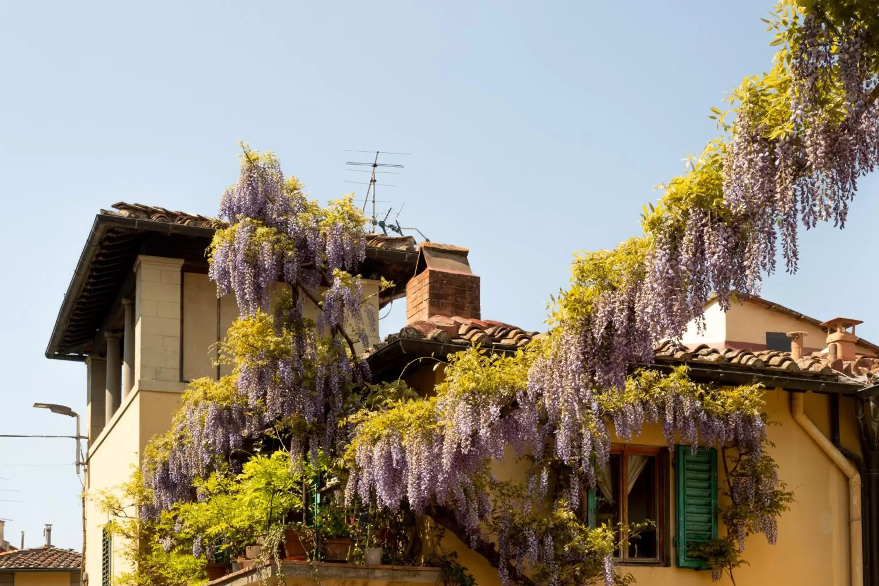 Street view, Property Building in B&B Le Cannelle FIESOLE