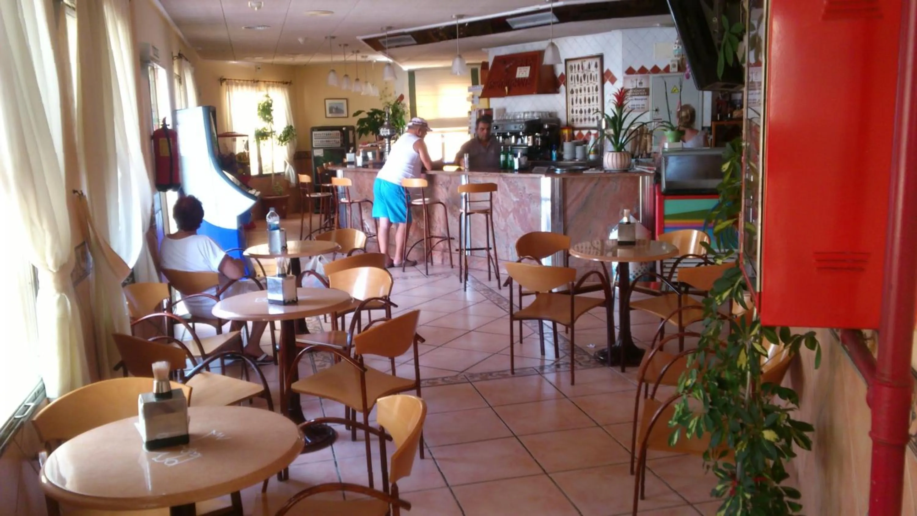 Lounge or bar in Hotel Paloma