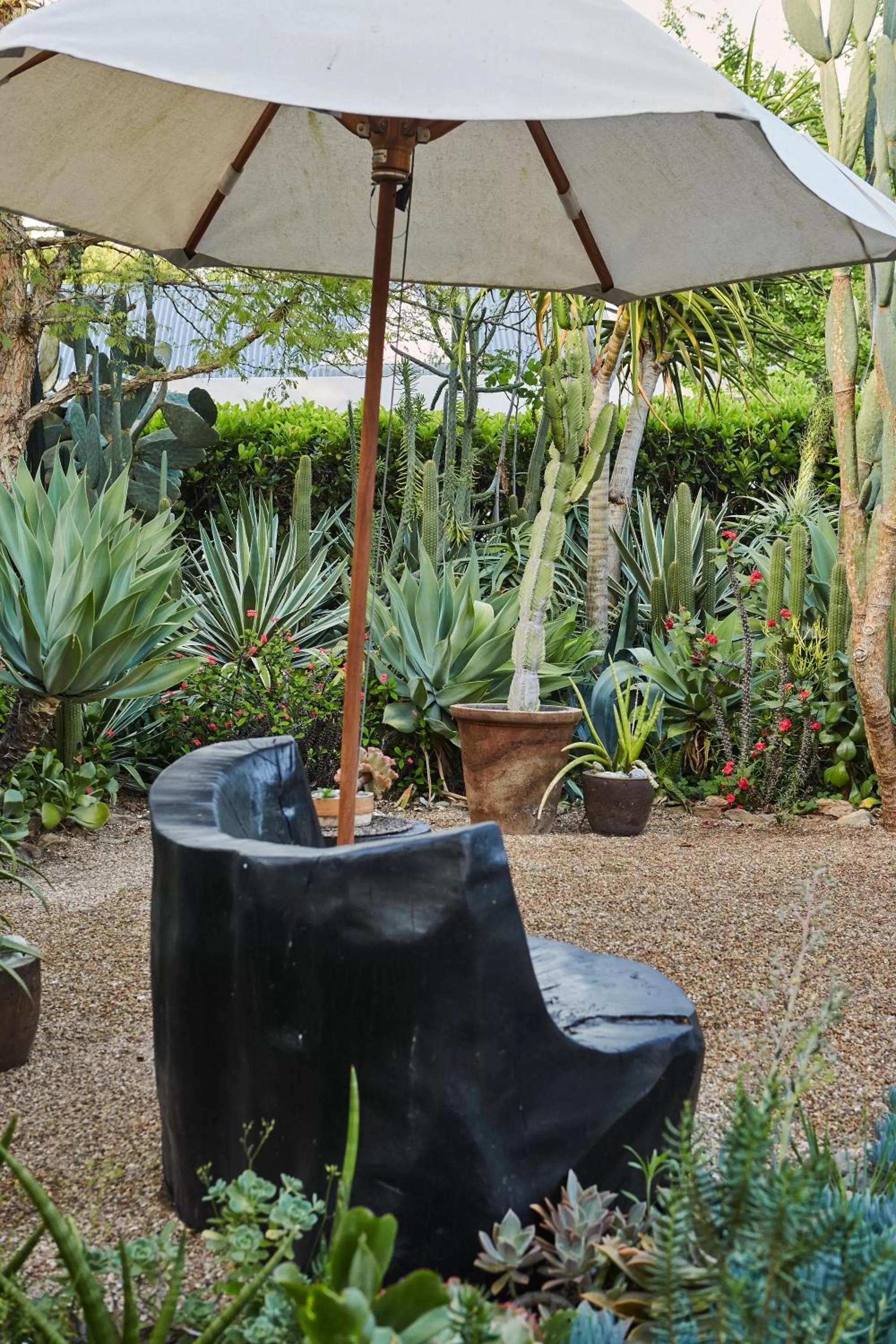 Garden in The Robertson Small Hotel and Spa by The Living Journey Collection