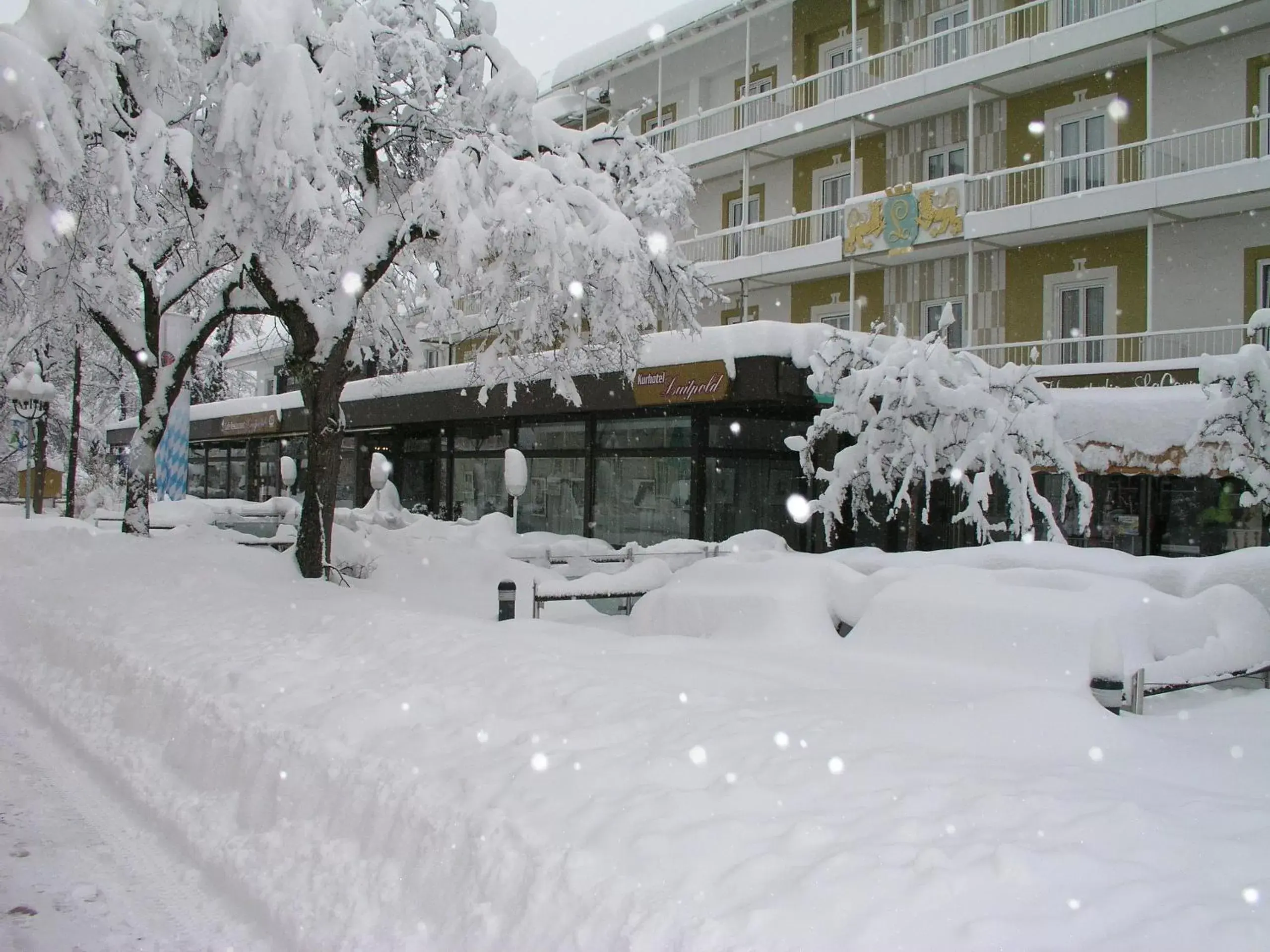 Winter in Kurhotel Luitpold