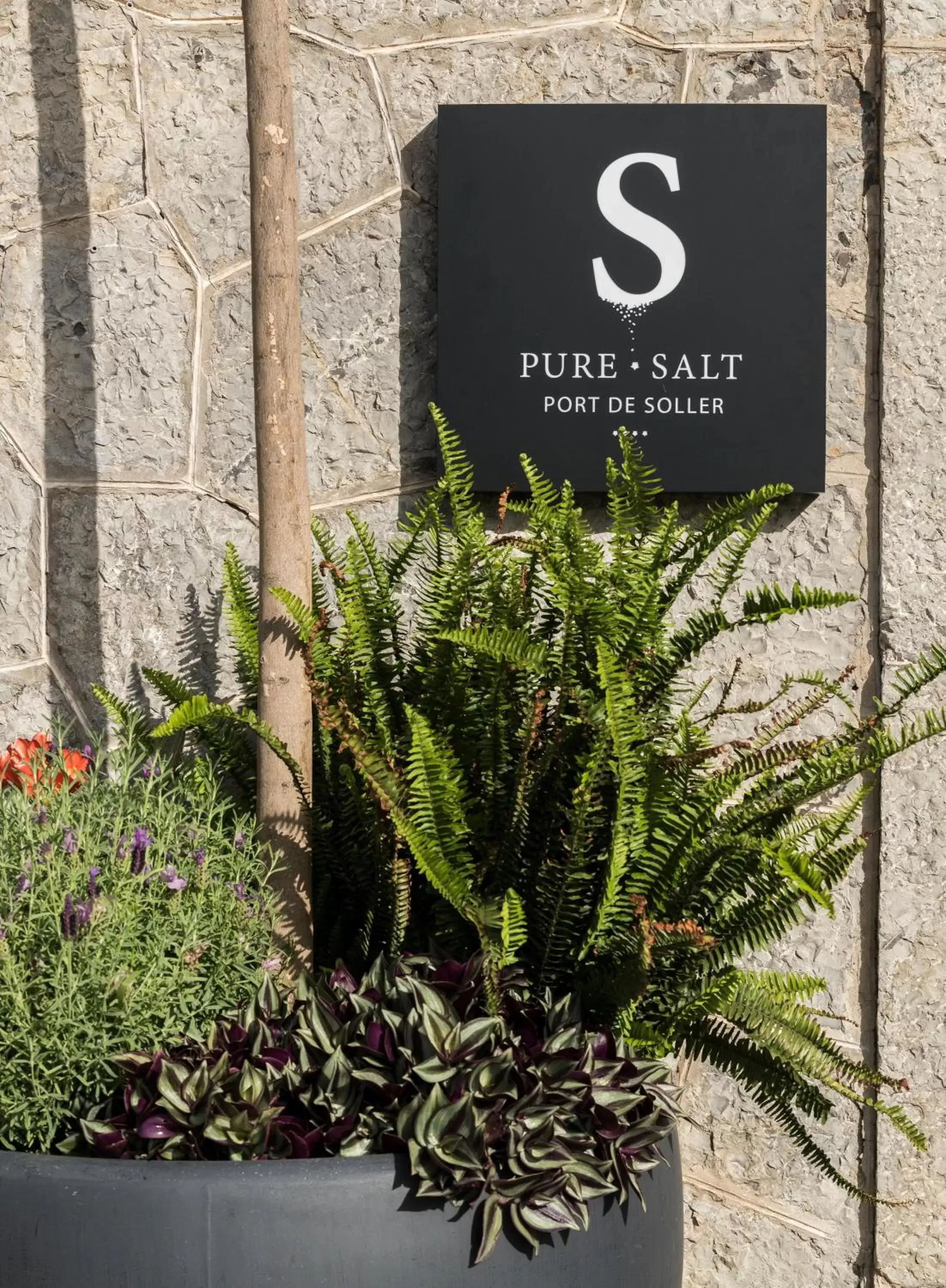 Property building in Pure Salt Port de Sóller