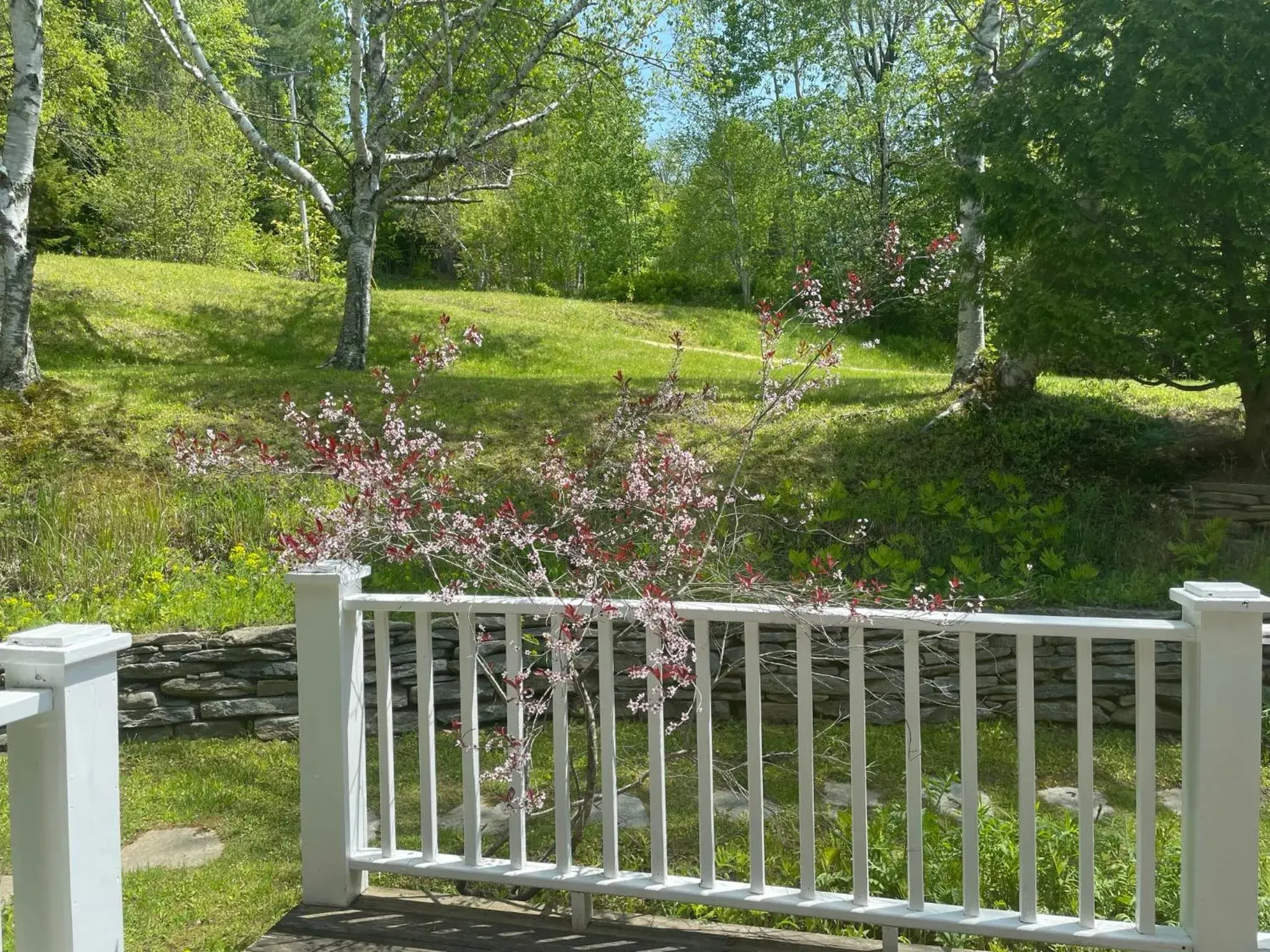 King Room with Garden View in Deerhill Inn King Room with Garden View in Deerhill Inn