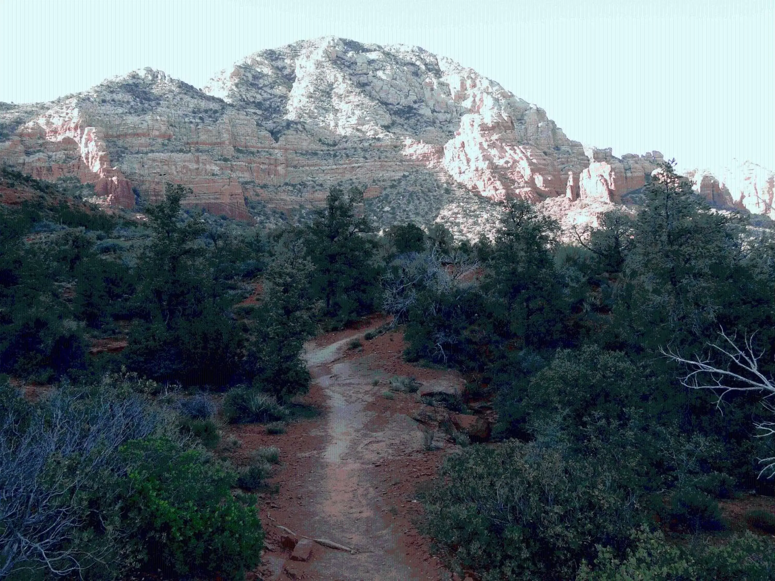 Area and facilities, Natural Landscape in Southwest Inn at Sedona
