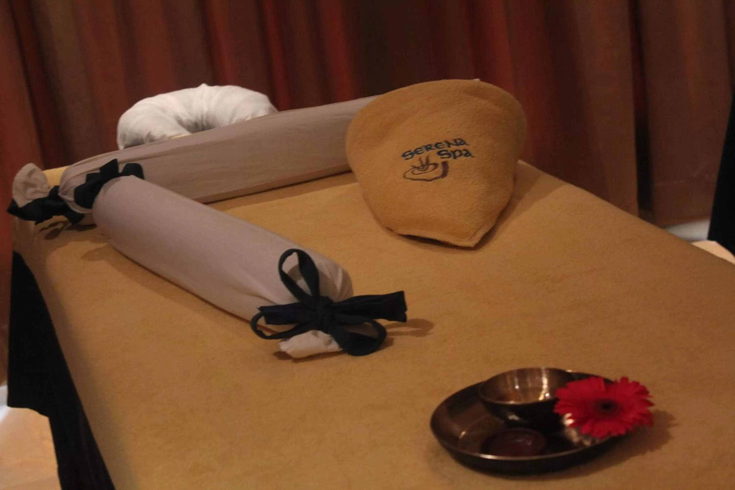Massage in Radisson Blu Plaza Hotel Hyderabad Banjara Hills