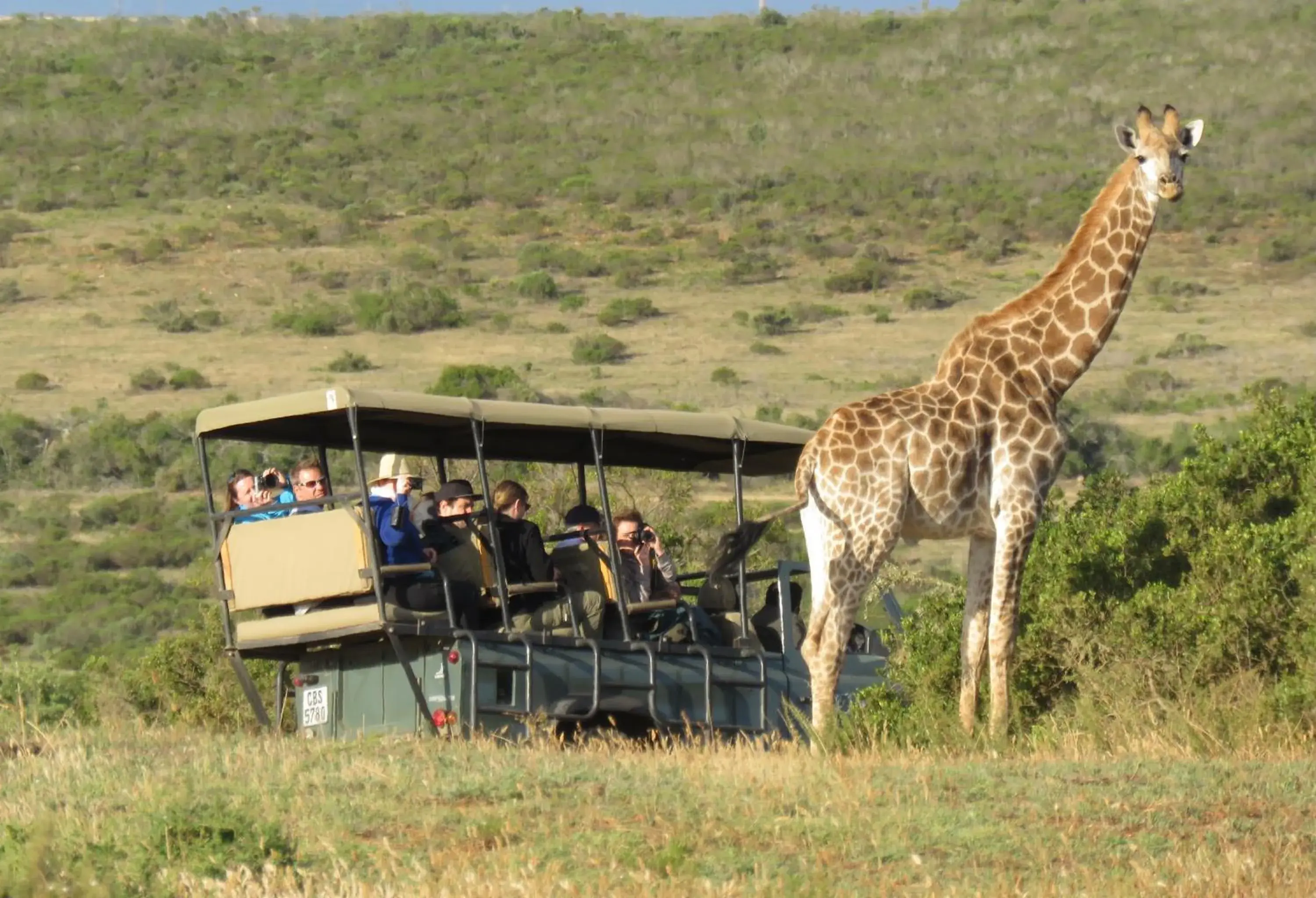 Other Animals in Garden Route Game Lodge