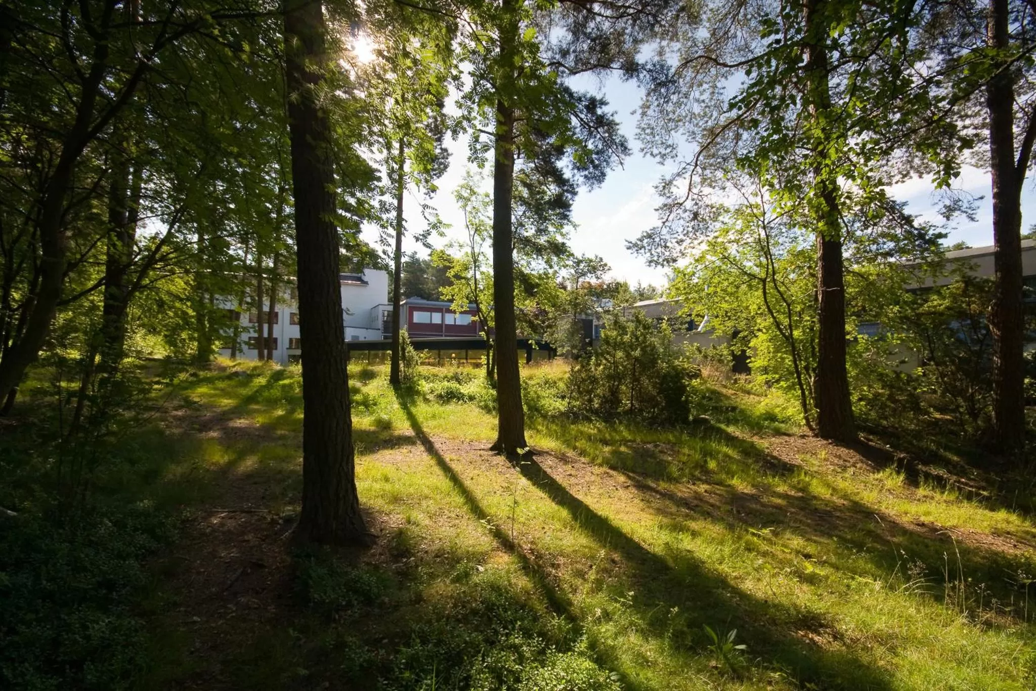 Natural landscape in Hotel Linnasmäki