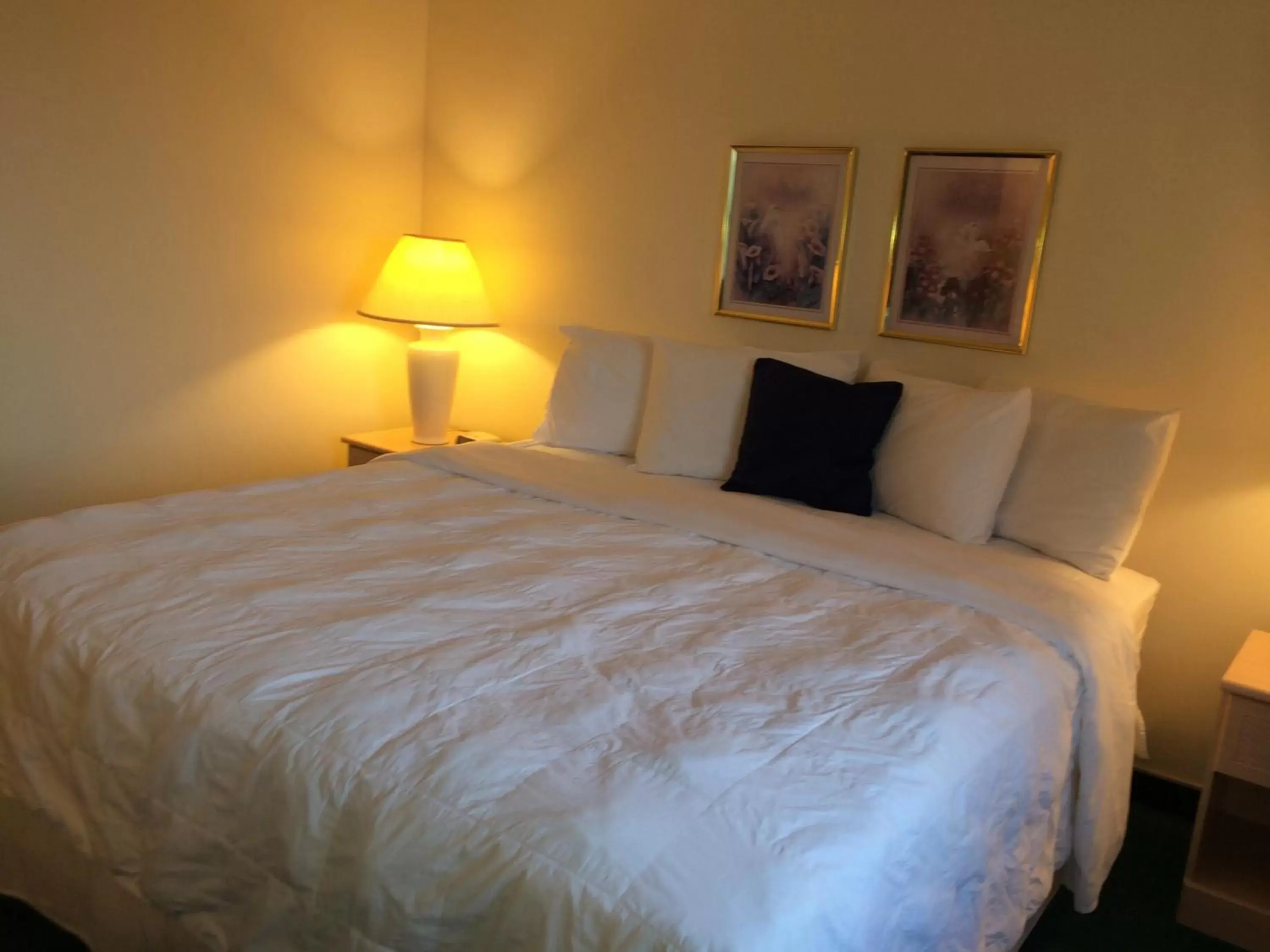 Bedroom, Bed in Americas Best Value Inn & Suites - Bluffton