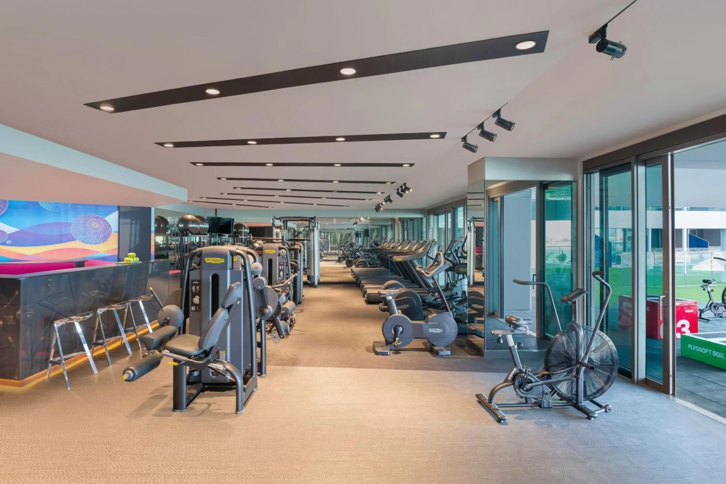 Fitness centre/facilities, Fitness Center/Facilities in W Dubai - The Palm