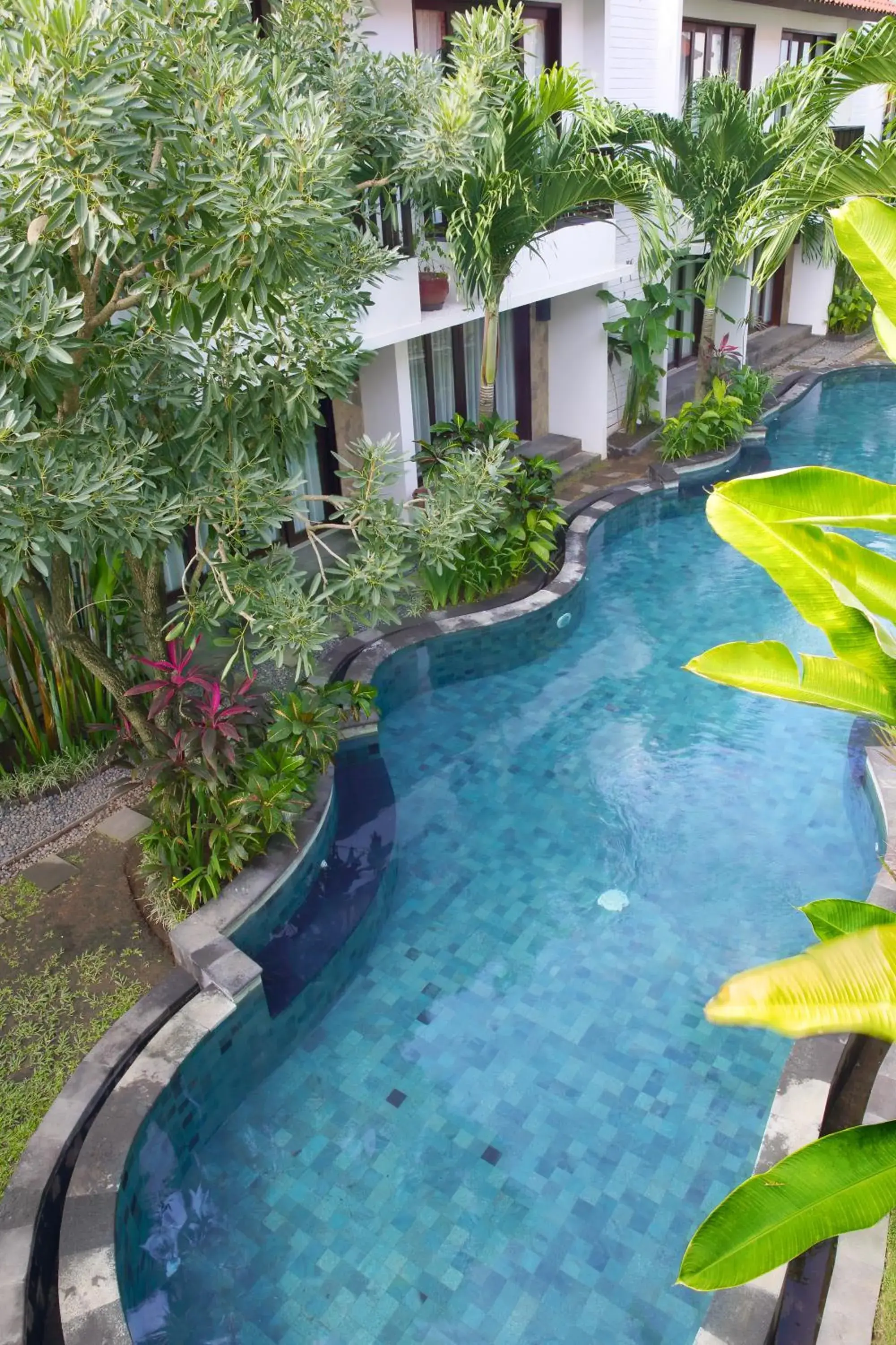 Swimming pool in Seminyak TownHouse Swimming pool in Seminyak TownHouse