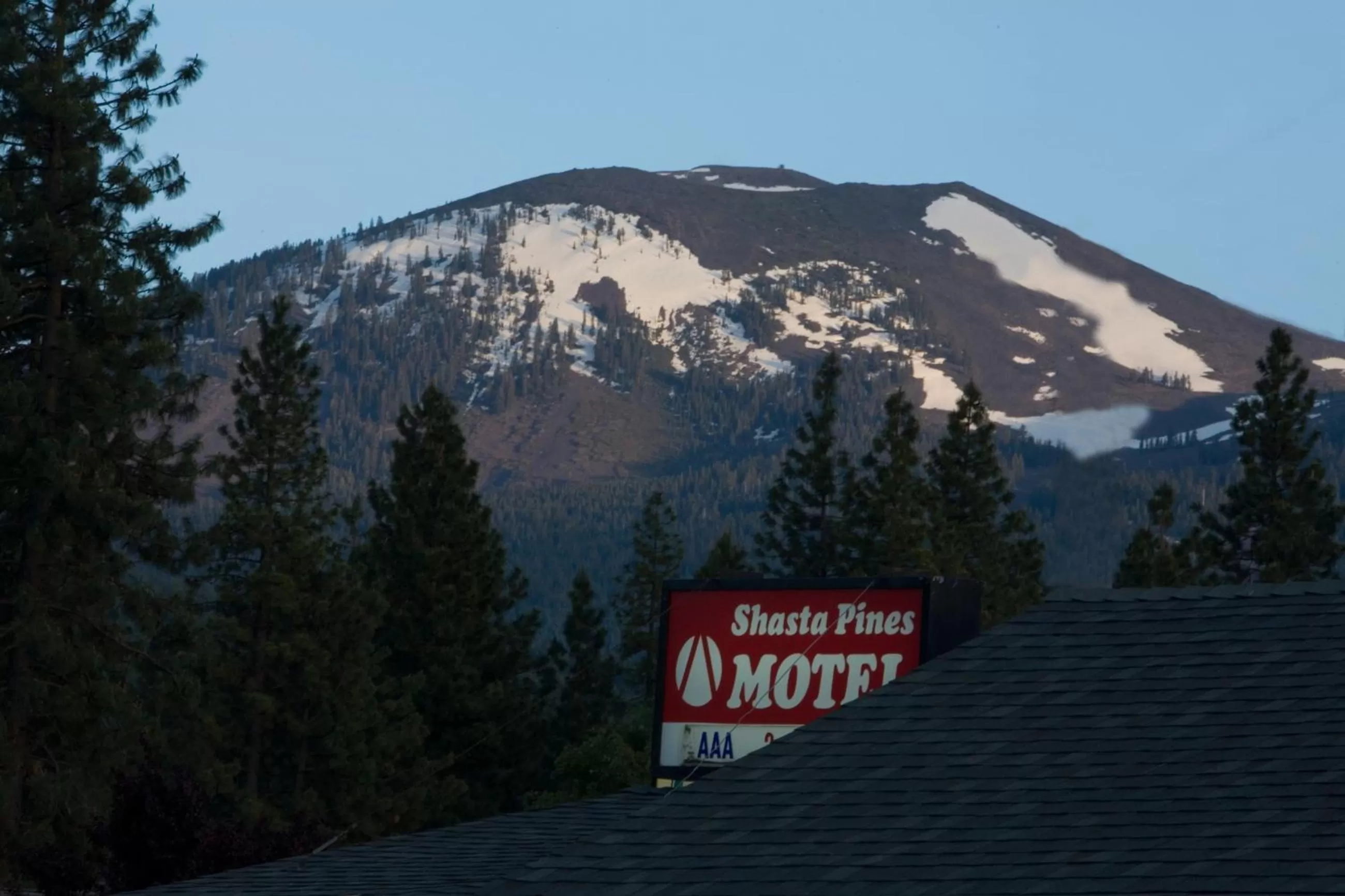 Property logo or sign in Shasta Pines Motel & Suites